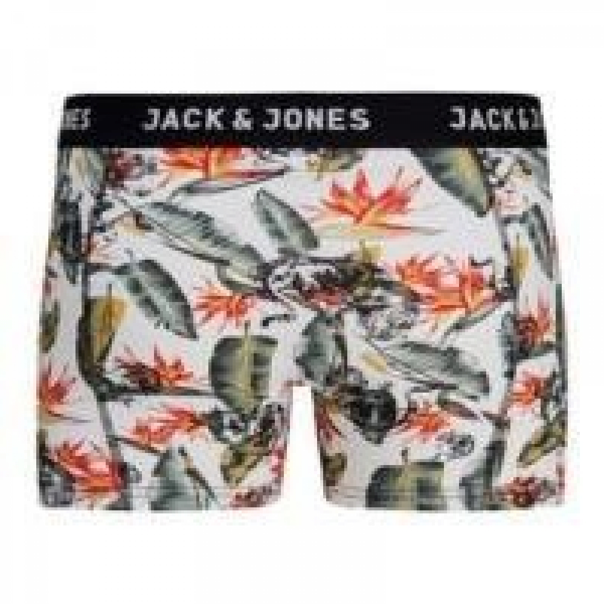 Flo Jack&Jones Erkek Desenli Boxer 12185394. 2
