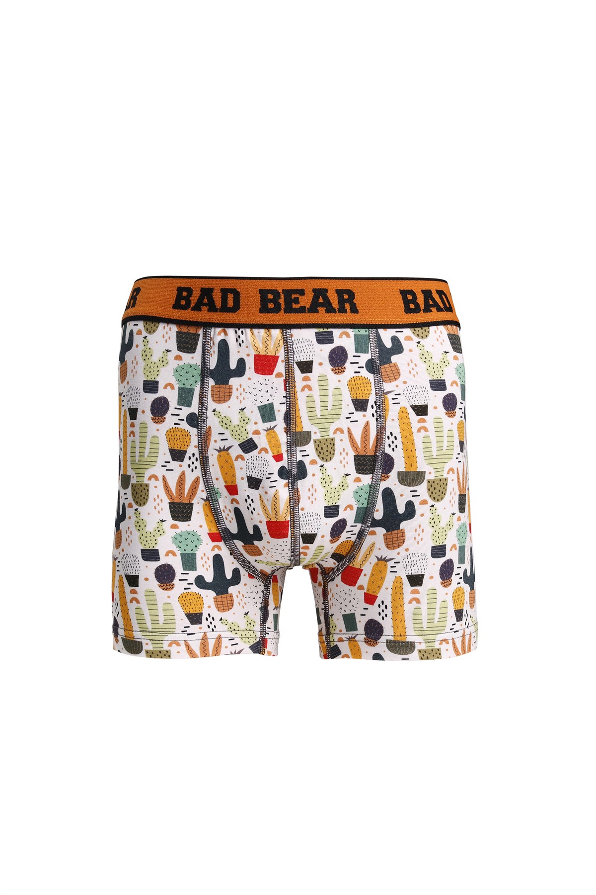 Cactus Off-White Beyaz Kaktüs Desenli Erkek Boxer