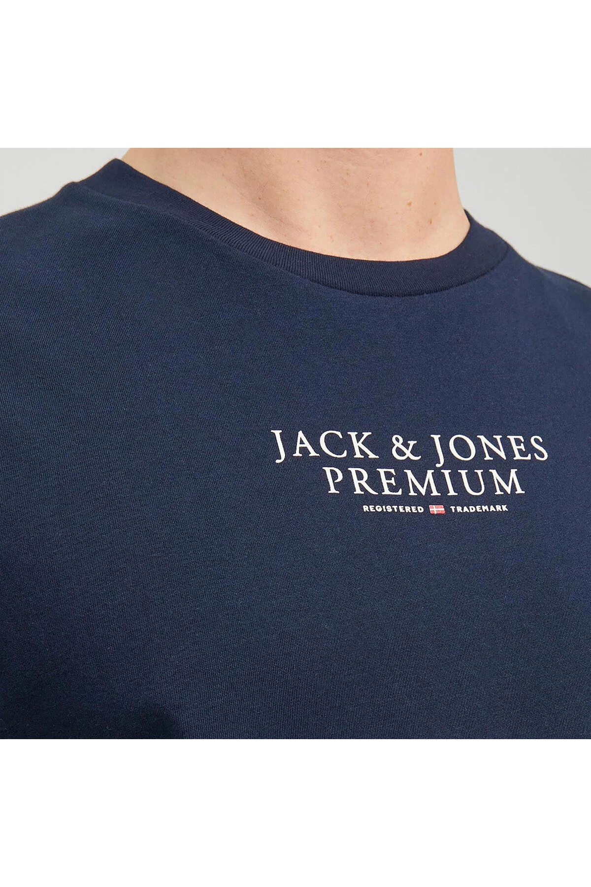 Erkek T-Shirt 12217167 Fiyatları | Flo