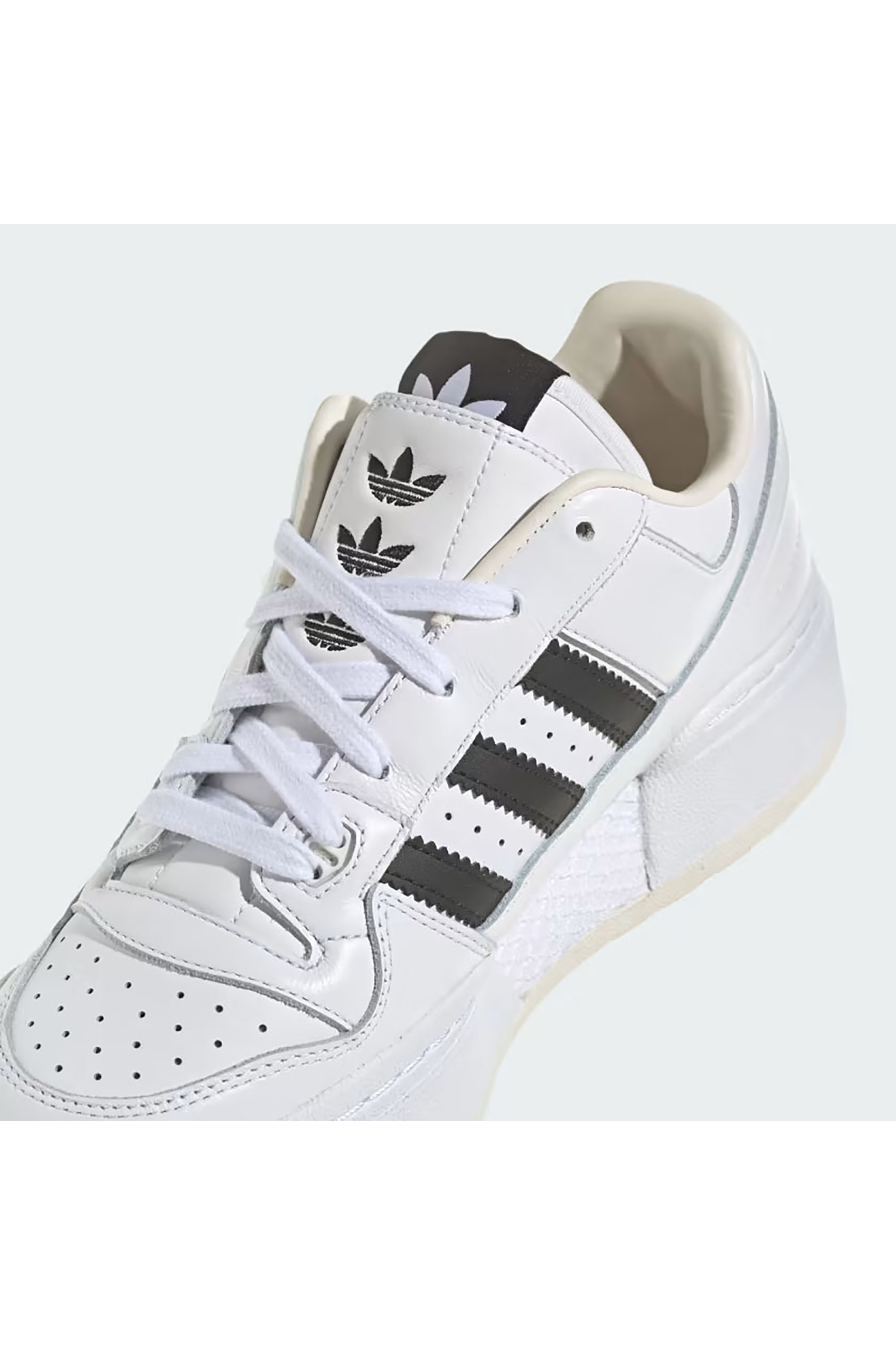 FORUM XLG W - Görsel 9