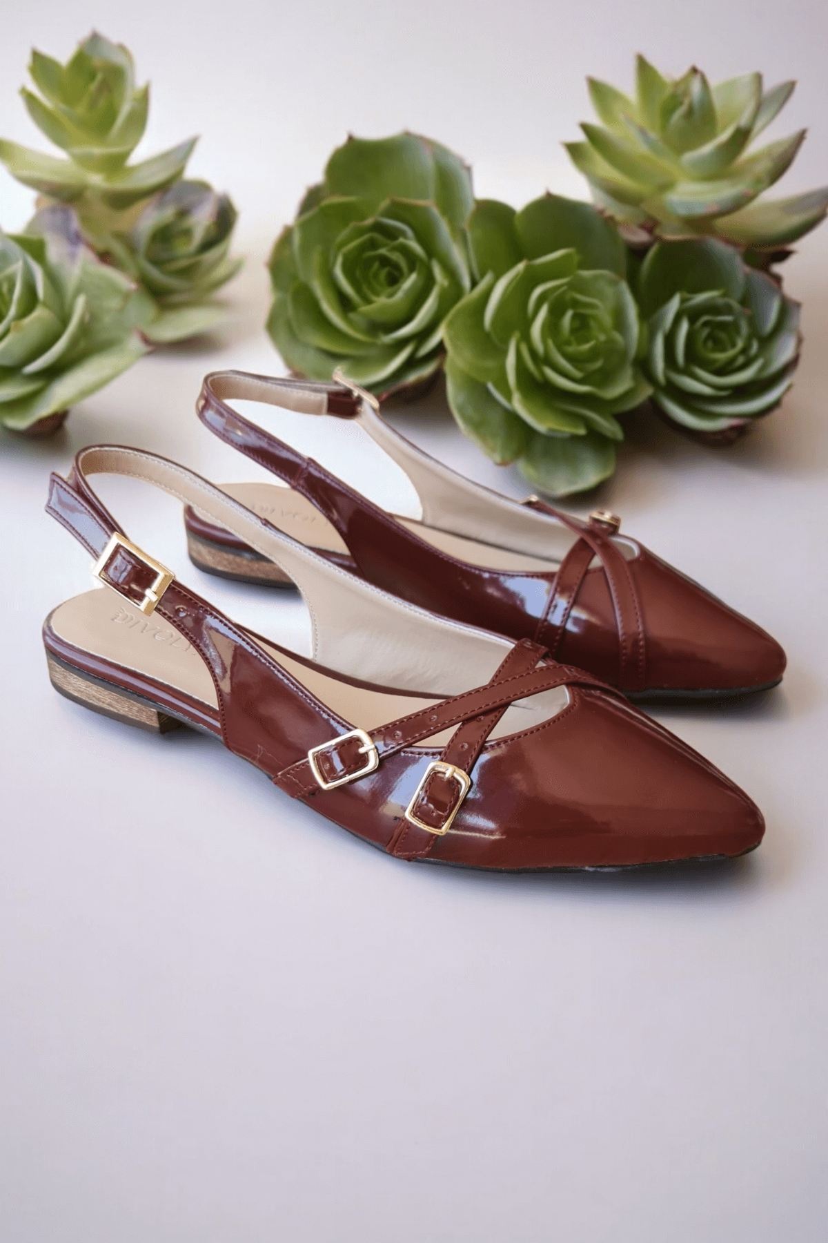 Divolya Divolya Pably Bordo Rugan ( 2 cm Topuklu ) Sivri Burun Ayakkabı Babet | Flo Bordo - 3. görsel
