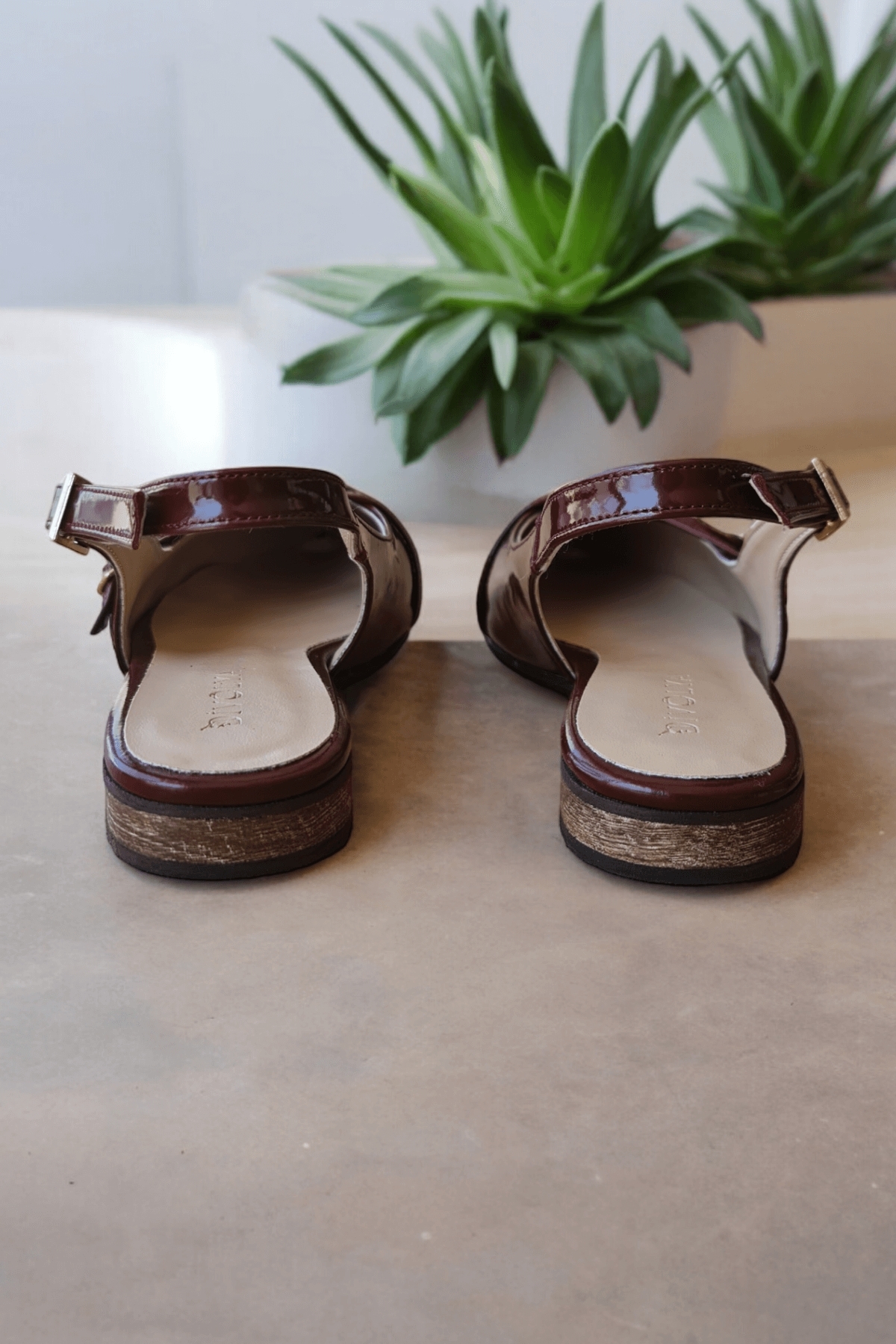 Divolya Divolya Pably Bordo Rugan ( 2 cm Topuklu ) Sivri Burun Ayakkabı Babet | Flo Bordo - 5. görsel