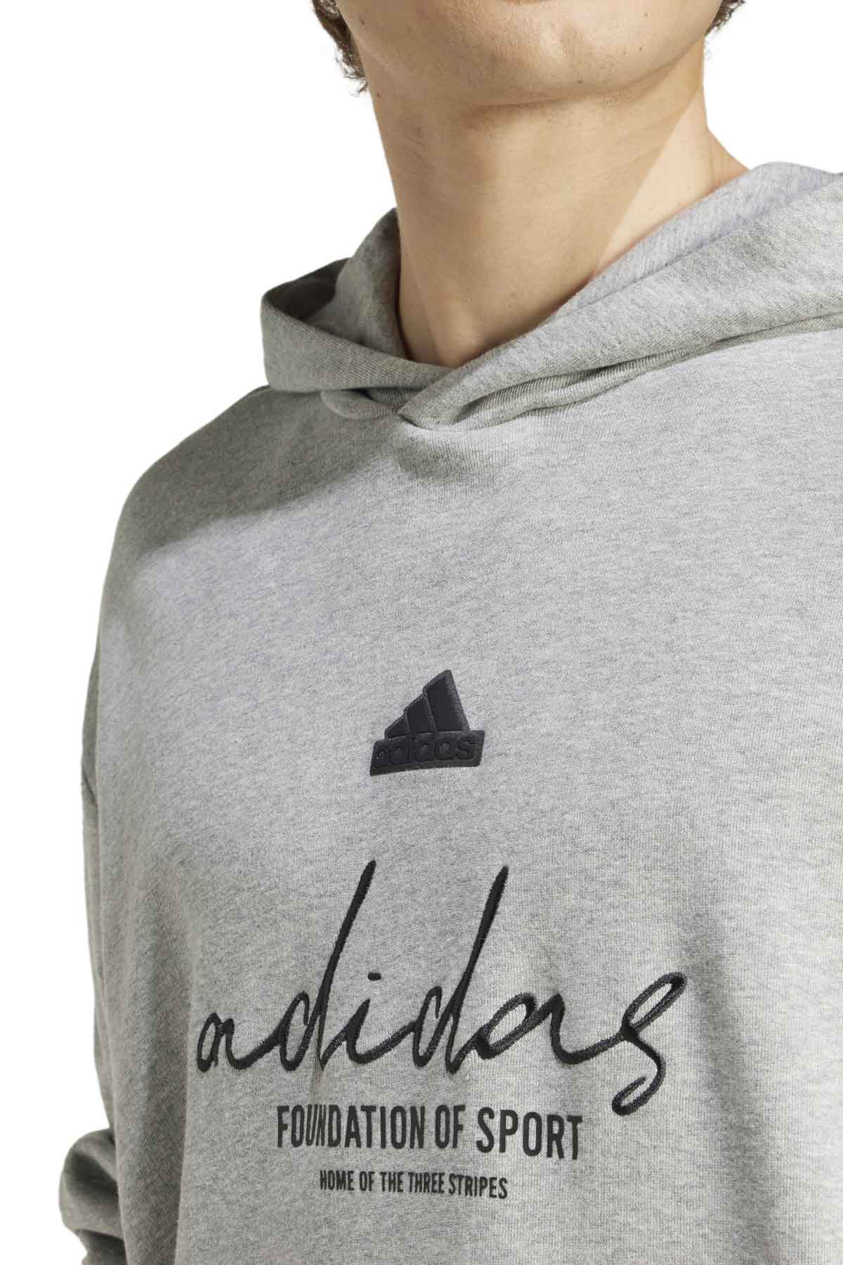 BL FT HD Q3 Gri Erkek Sweatshirt