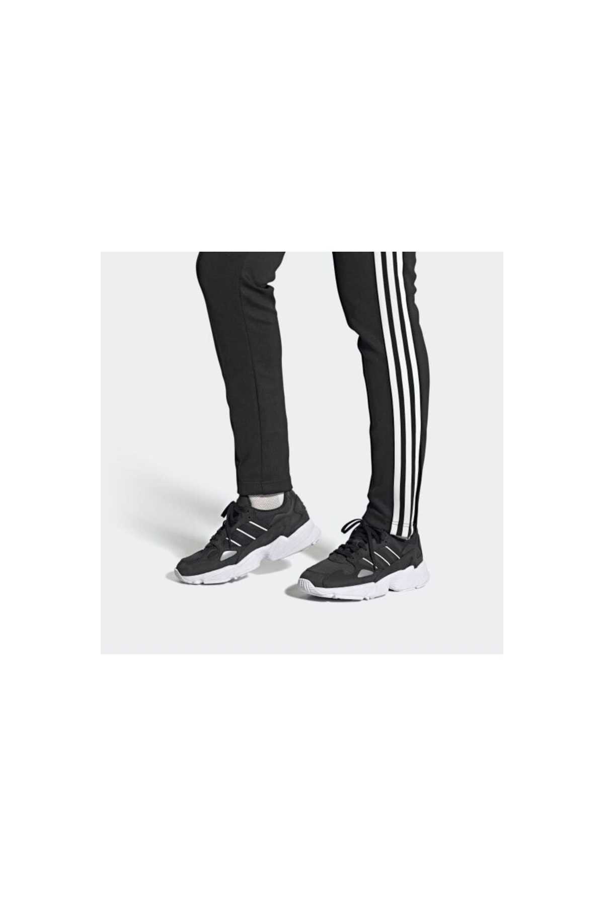 Falcon W - Görsel 2