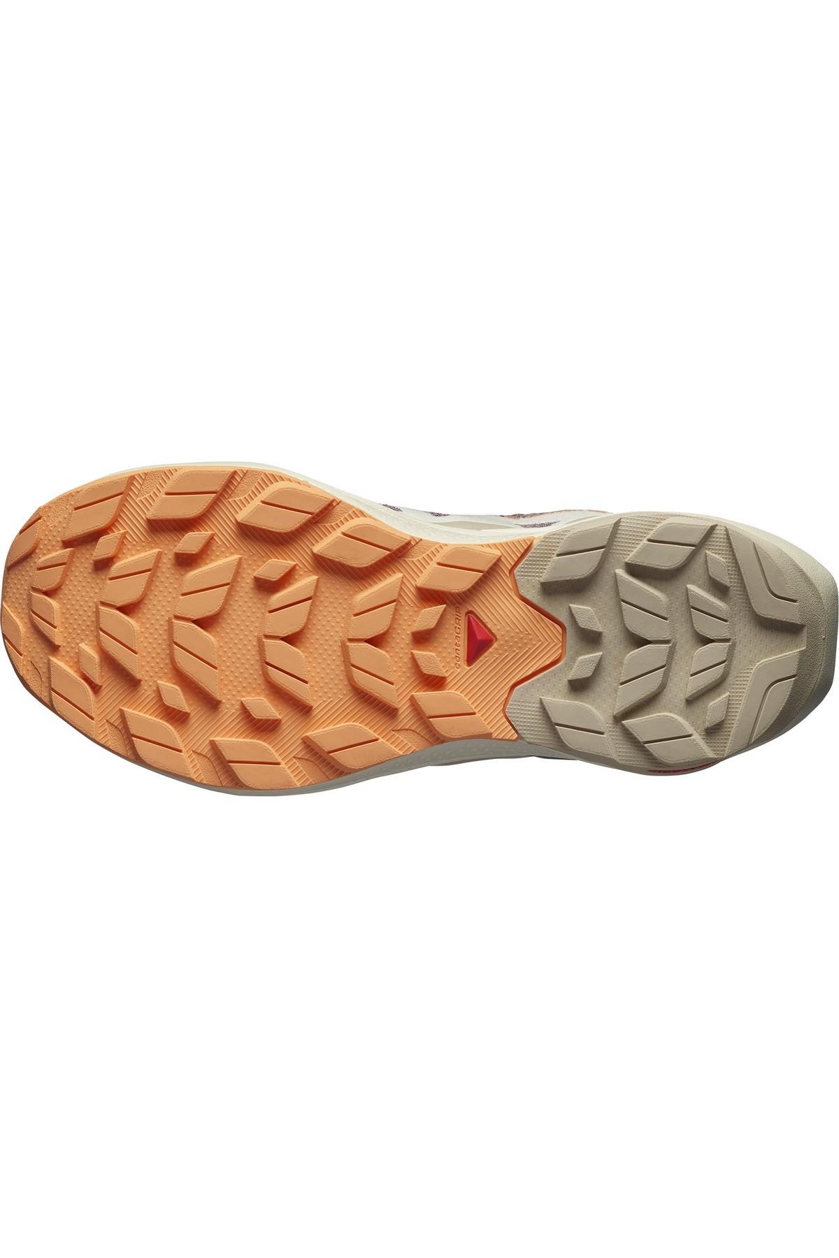 Salomon Çok Renkli Salomon Elixir Activ