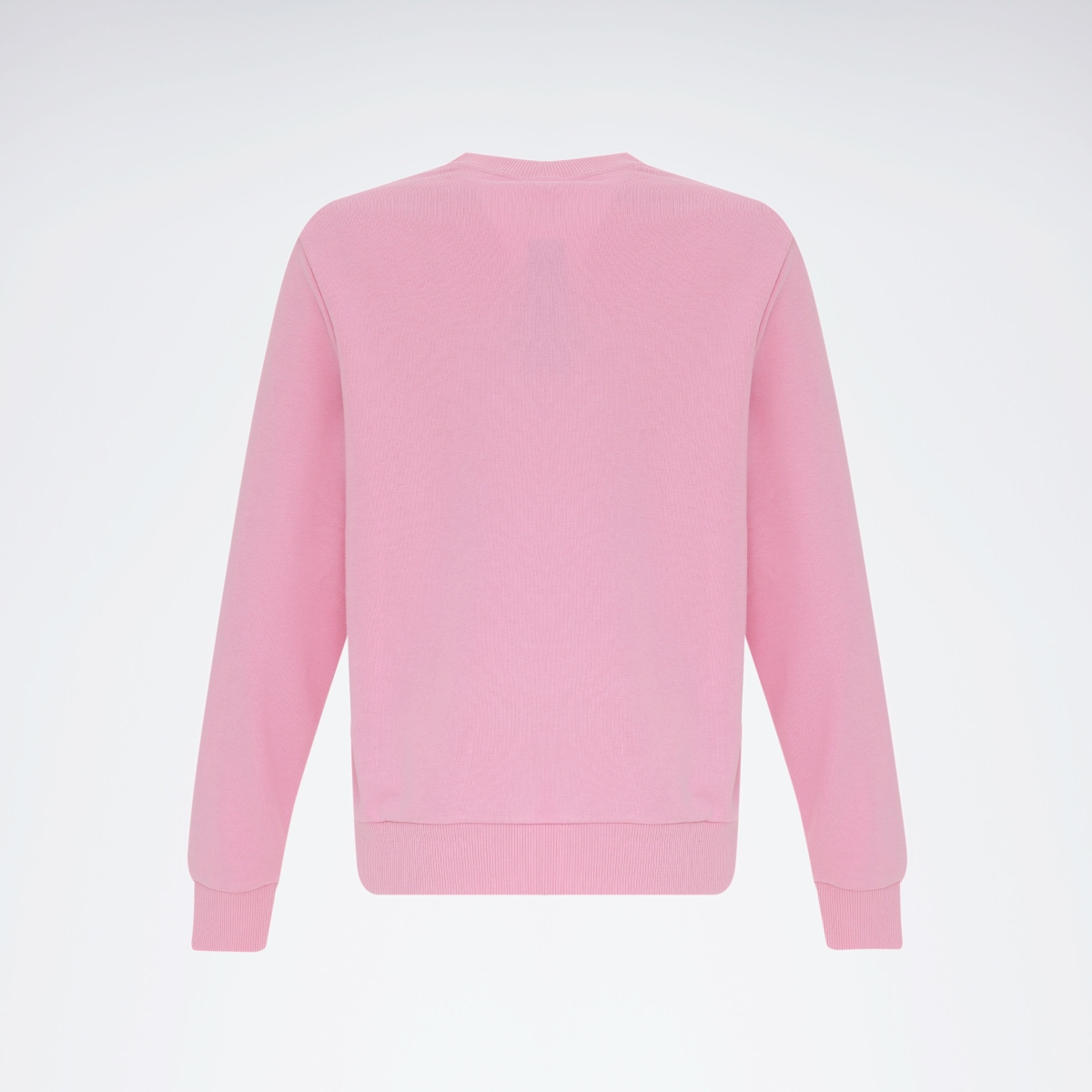 ri-sl-ft-crew-pembe-kadin-sweatshirt