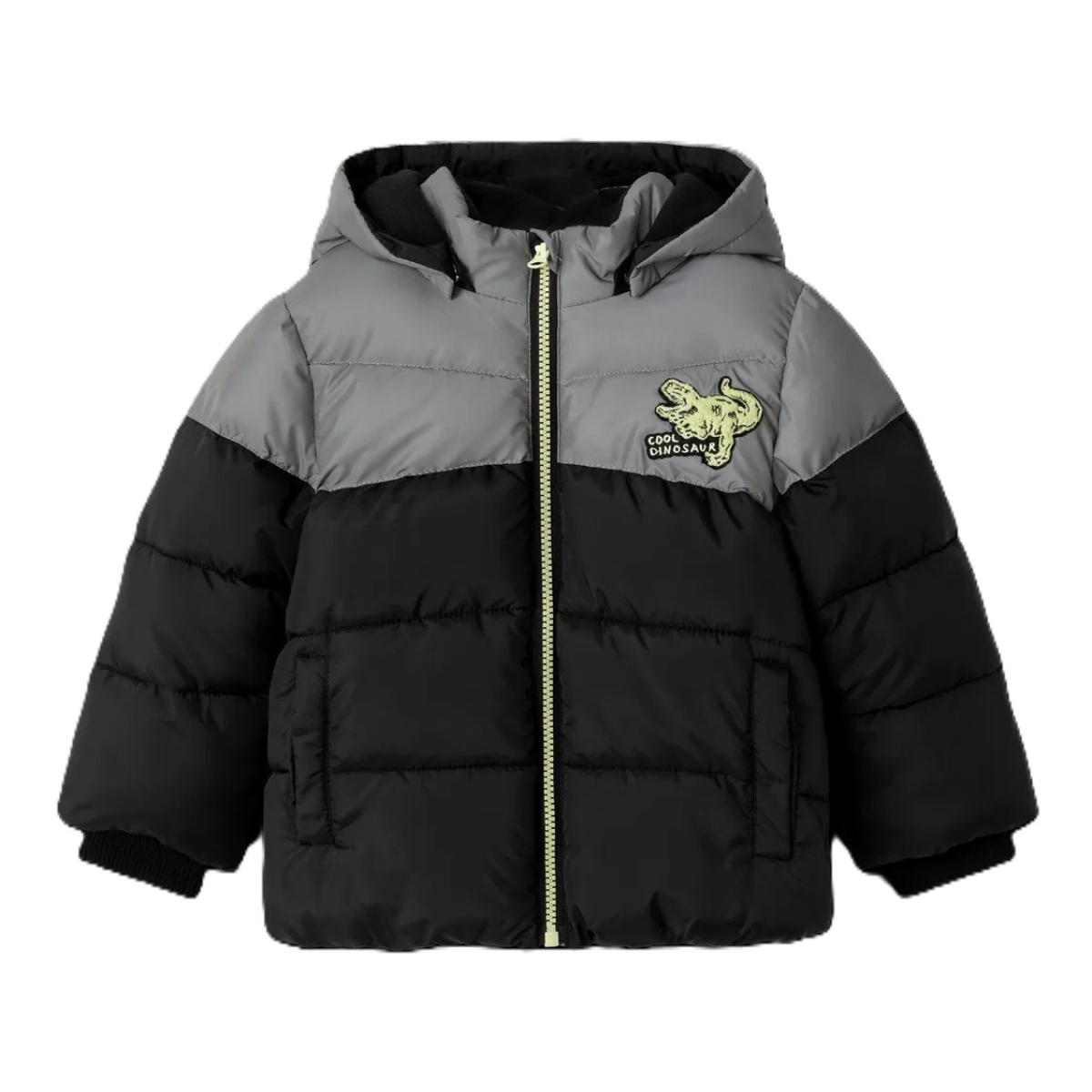 Name ItNmmmorten Dino Detail Erkek Çocuk Mont
