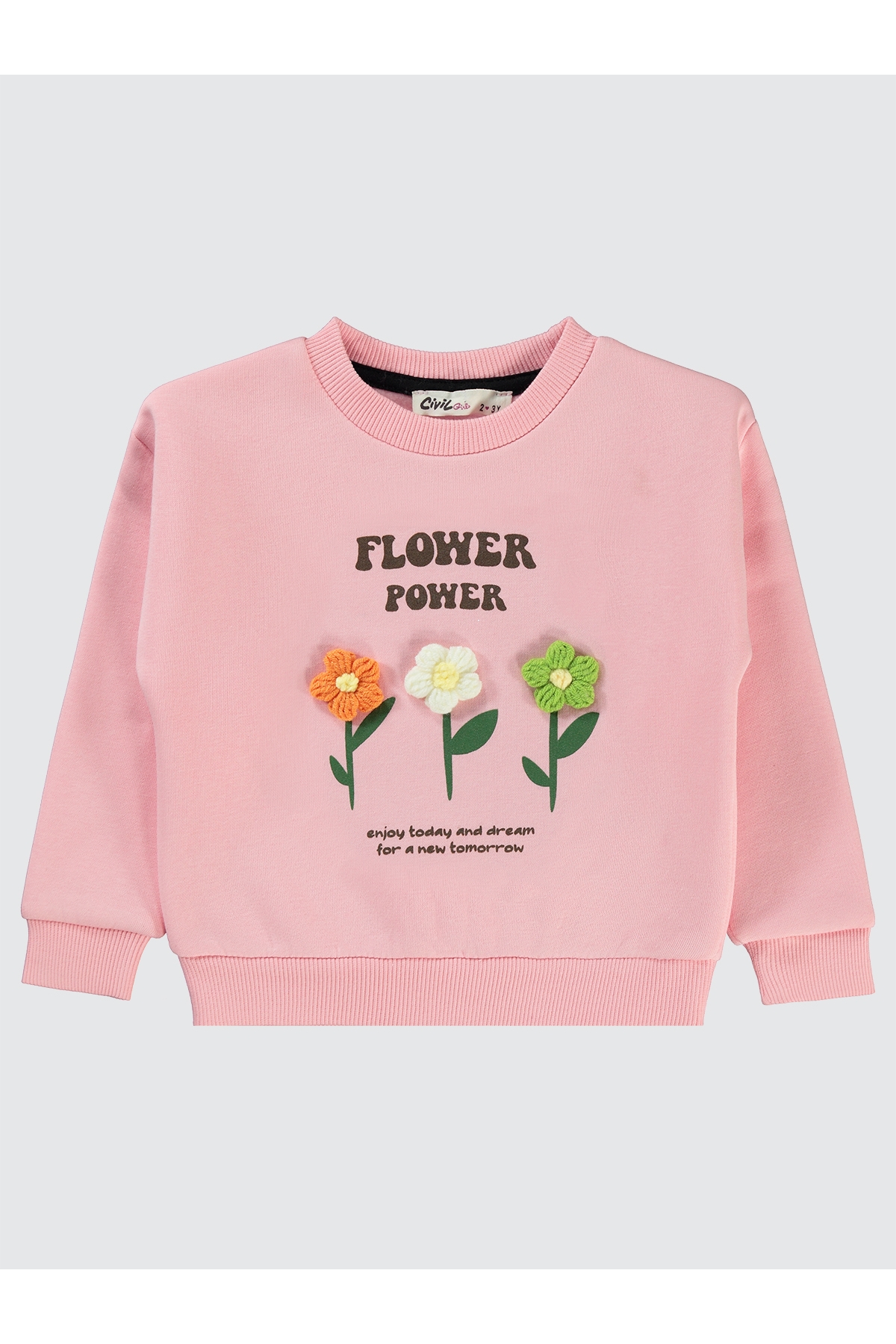 Kız Çocuk Sweatshirt 2-5 Yaş Açık Pembe