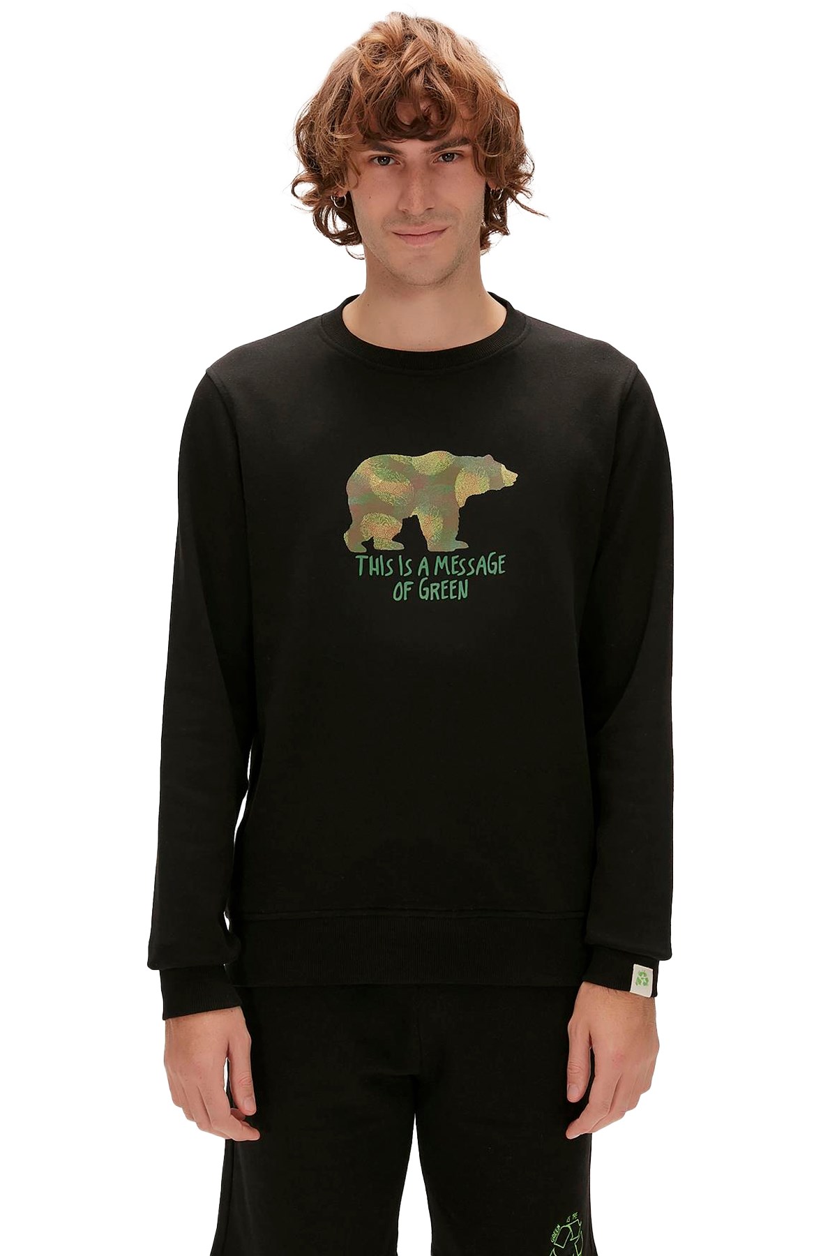 Erkek Sweatshirt 23.02.12.033-C01