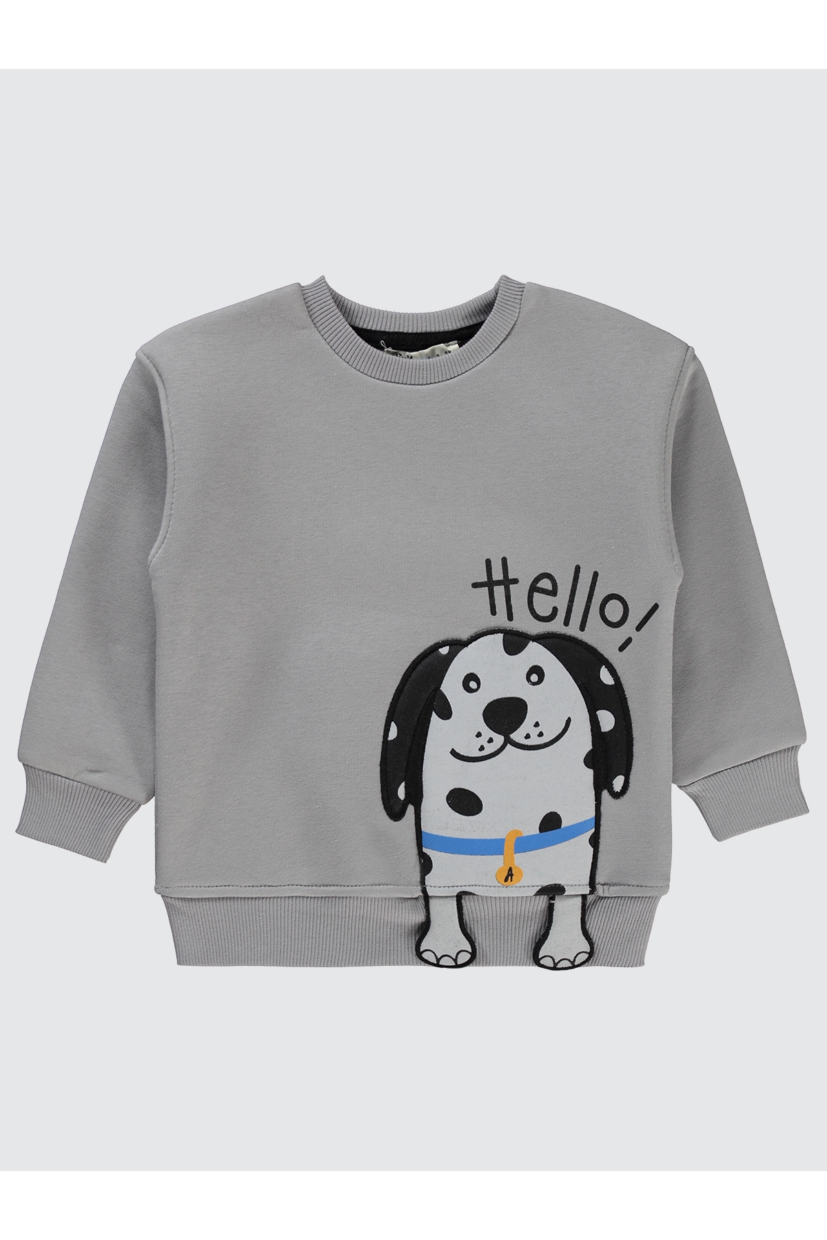 Erkek Çocuk Sweatshirt 2-5 Yaş Gri