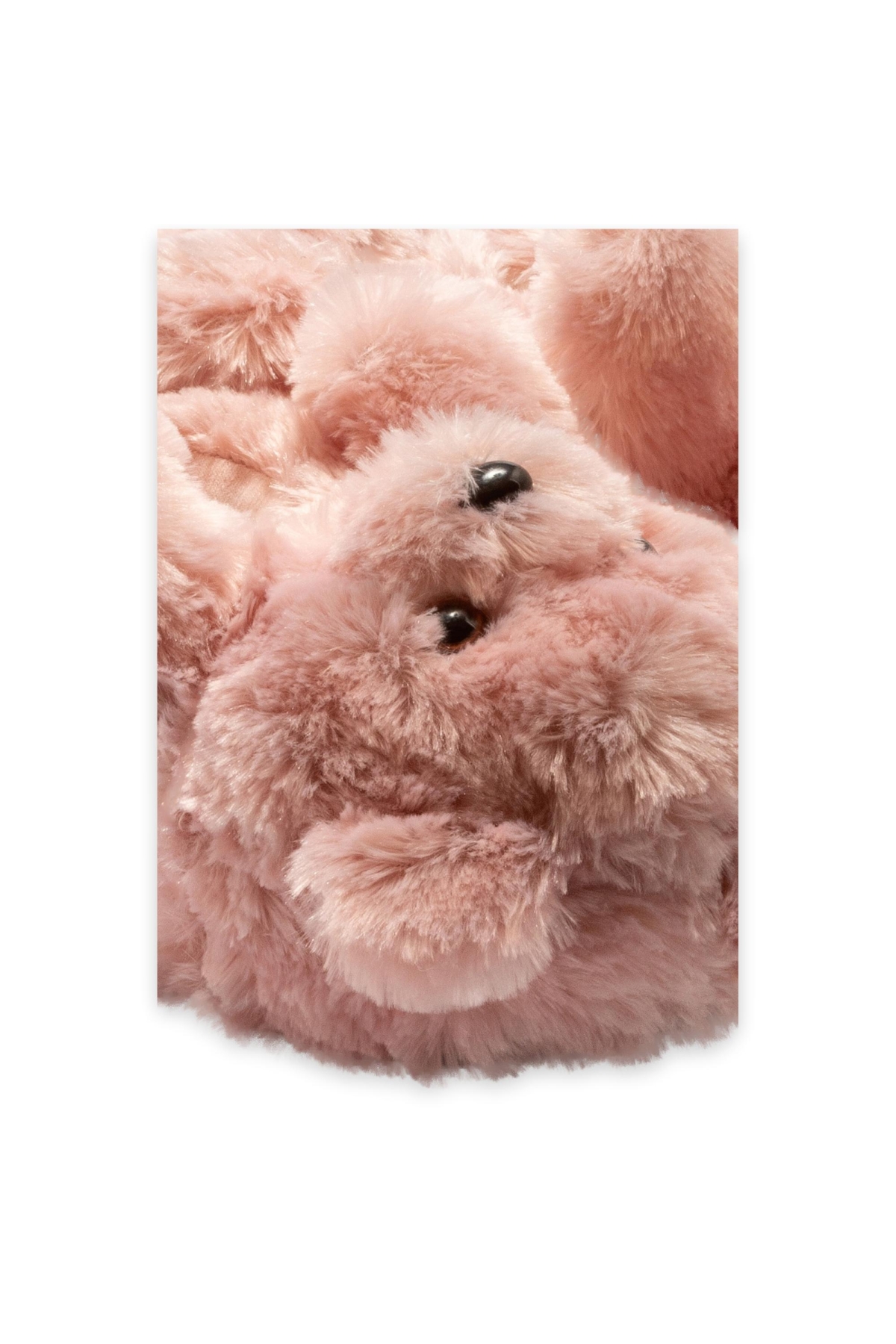 Twigy Aa0663 Z Tw Teddy Gül Kurusu Kadın Panduf - Görsel 4