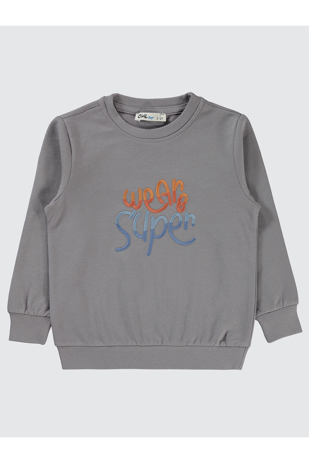 Erkek Çocuk Sweatshirt 2-5 Yaş Gri