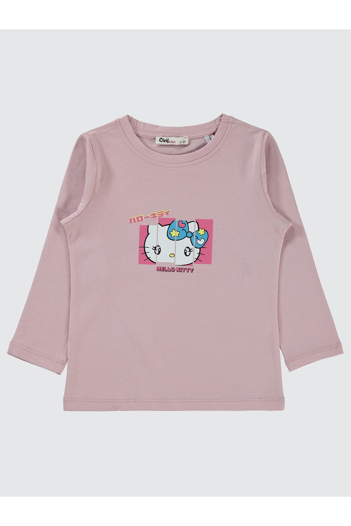 Kız Çocuk Sweatshirt 2-5 Yaş Pembe