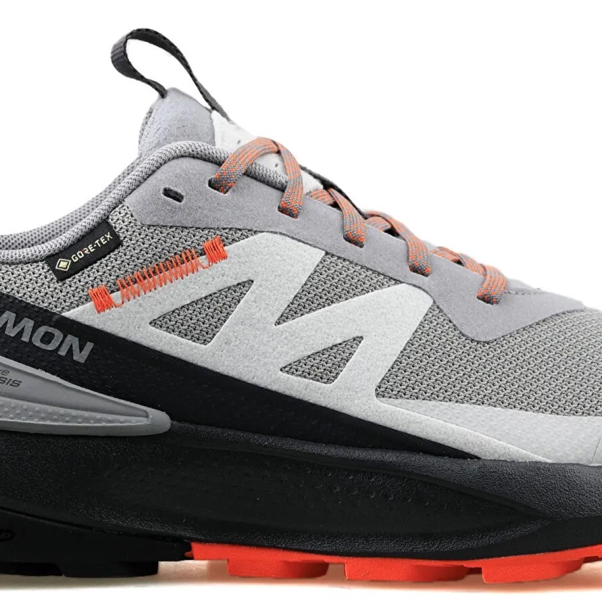 Salomon Elixir Activ Gtx Gore-Tex® Patika gri