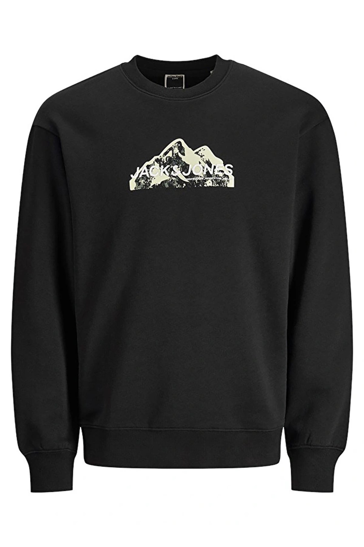 Mountain Logo Erkek Sweat 12262094