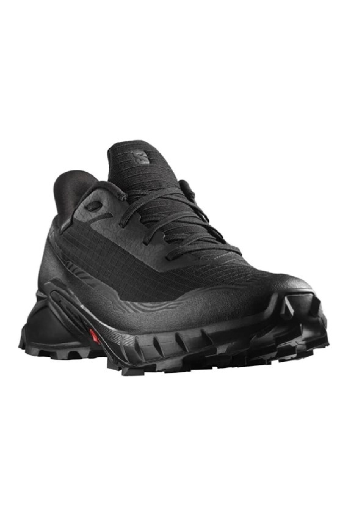 Alphacross 5 Gtx Gore-Tex® Outdoor Erkek Patika Koşu Ayakkabısı - Görsel 3