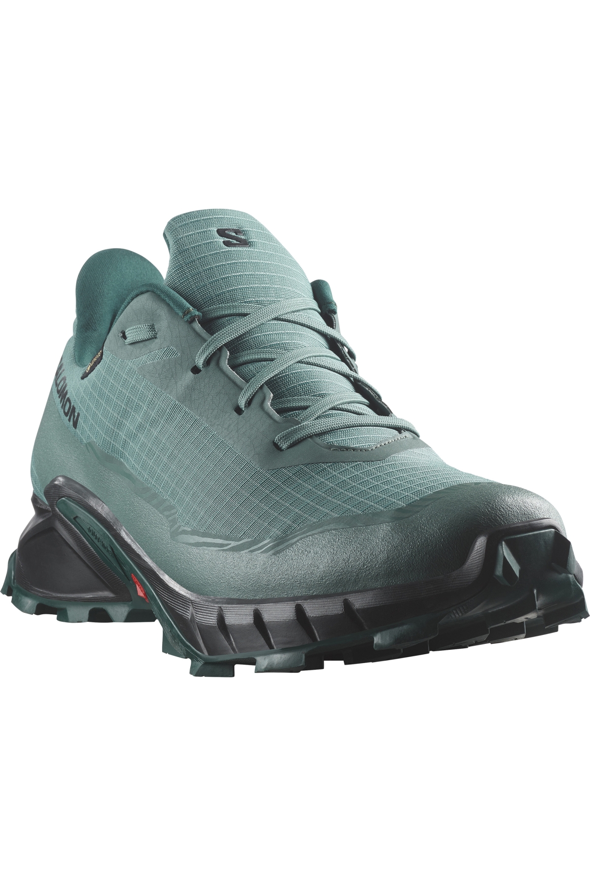 Alphacross 5 Gtx Gore-Tex® Outdoor Erkek Patika Koşu Ayakkabısı - Görsel 3
