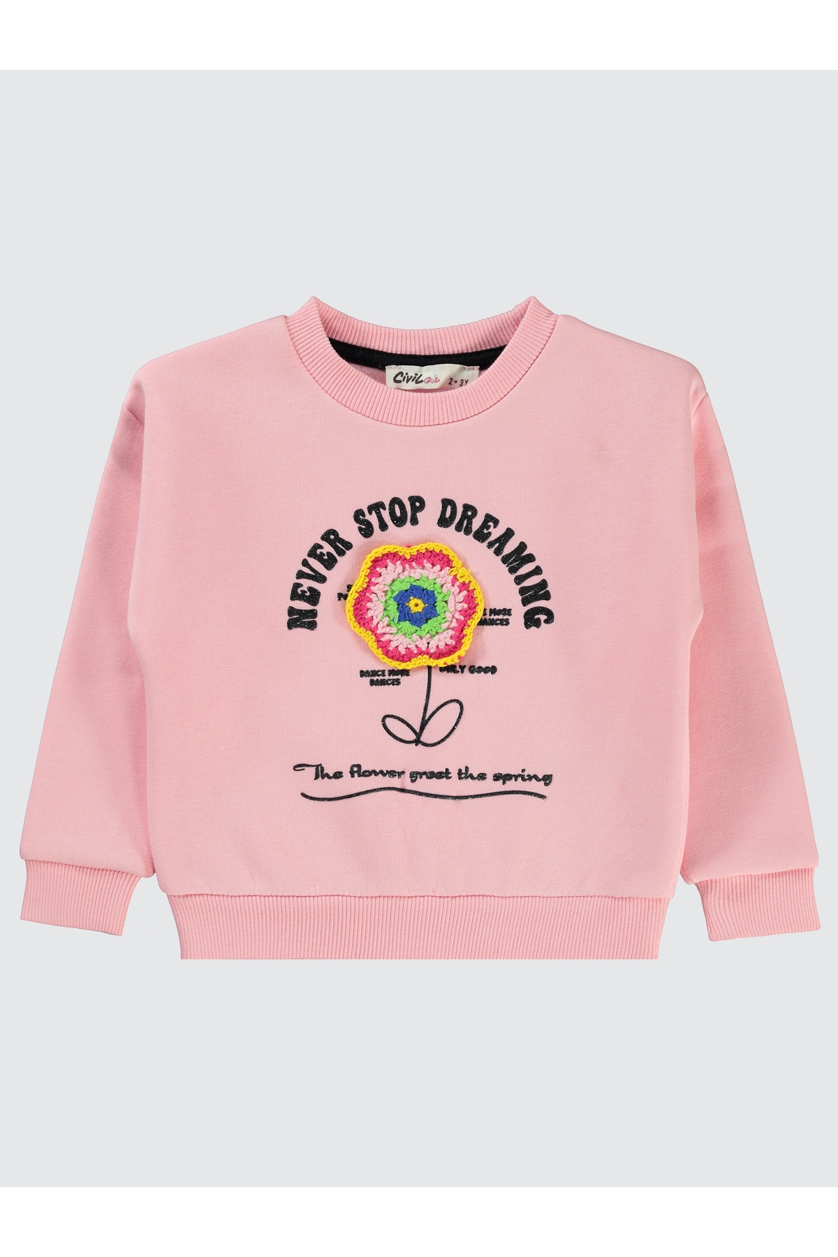 Kız Çocuk Sweatshirt 2-5 Yaş Açık Pembe