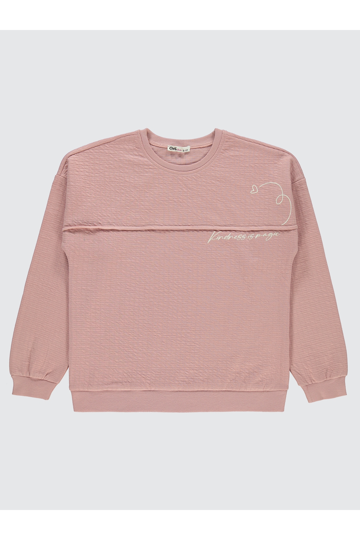 Kız Çocuk Sweatshirt 10-13 Yaş Pudra