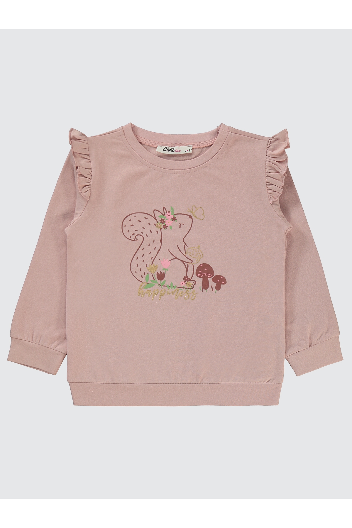 Kız Çocuk Sweatshirt 2-5 Yaş Açık Pembe