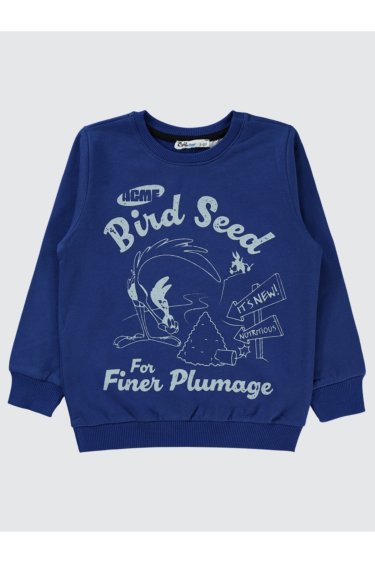 Road Runner Erkek Çocuk Sweatshirt 2-5 Yaş Saks Mavisi