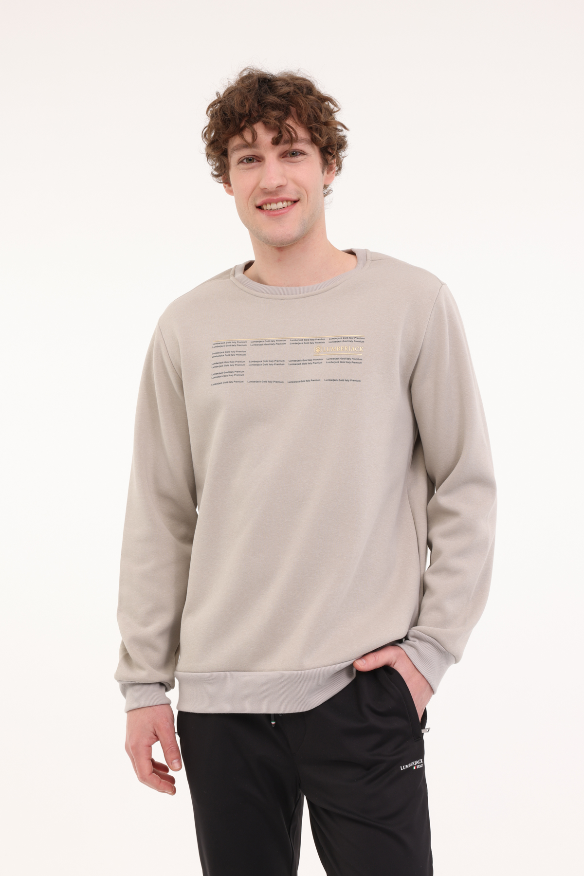 ML ZOME 16ITL-GD8 4PR Gri Erkek Sweatshirt