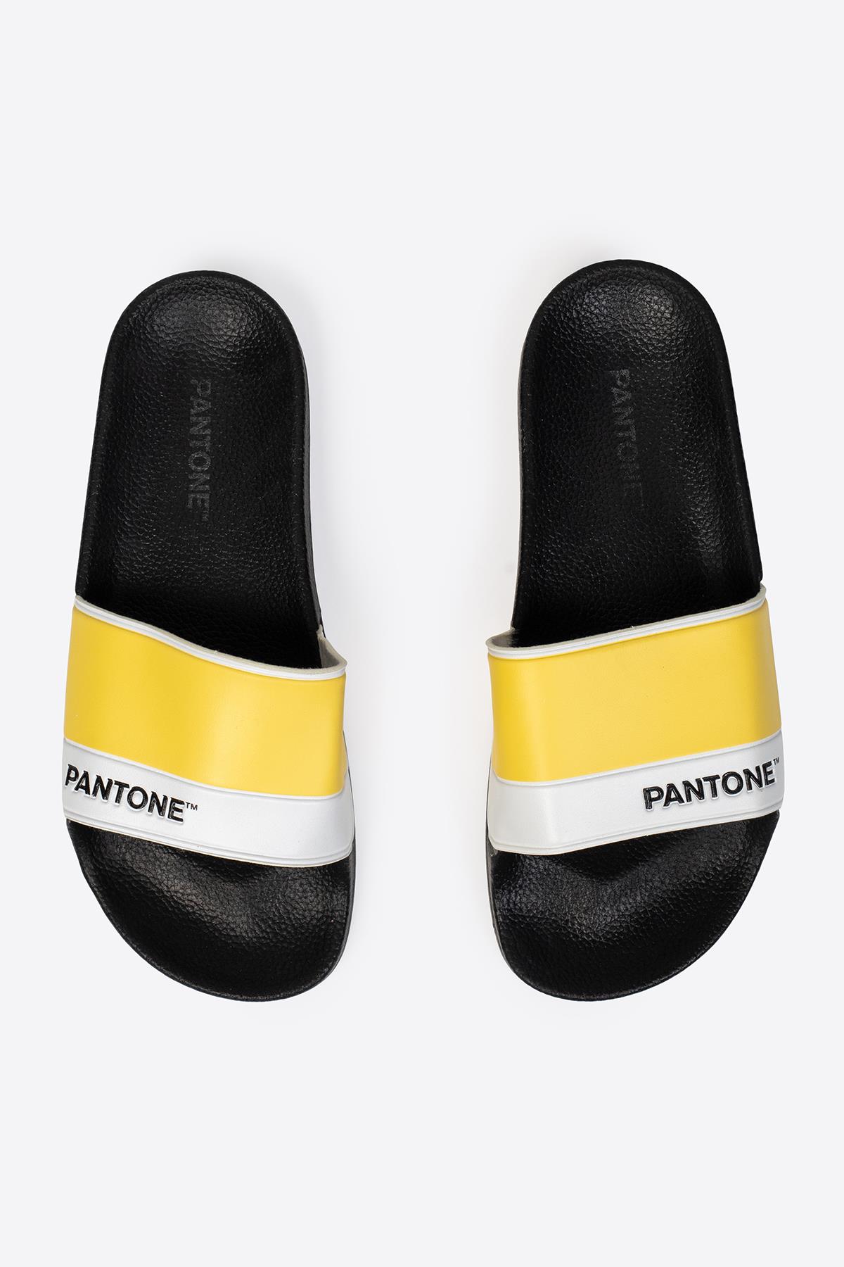 Tek Bantlı Baskılı Kadın Terlik - Görsel 7