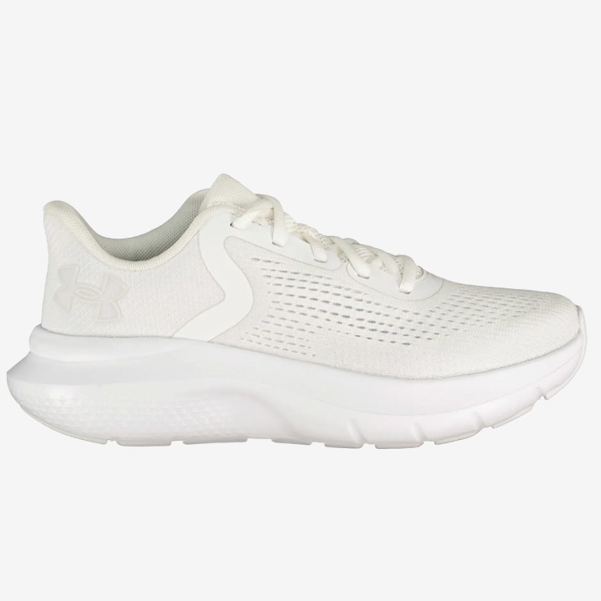 Under Armour Ua Charged Rogue 5 Ve
