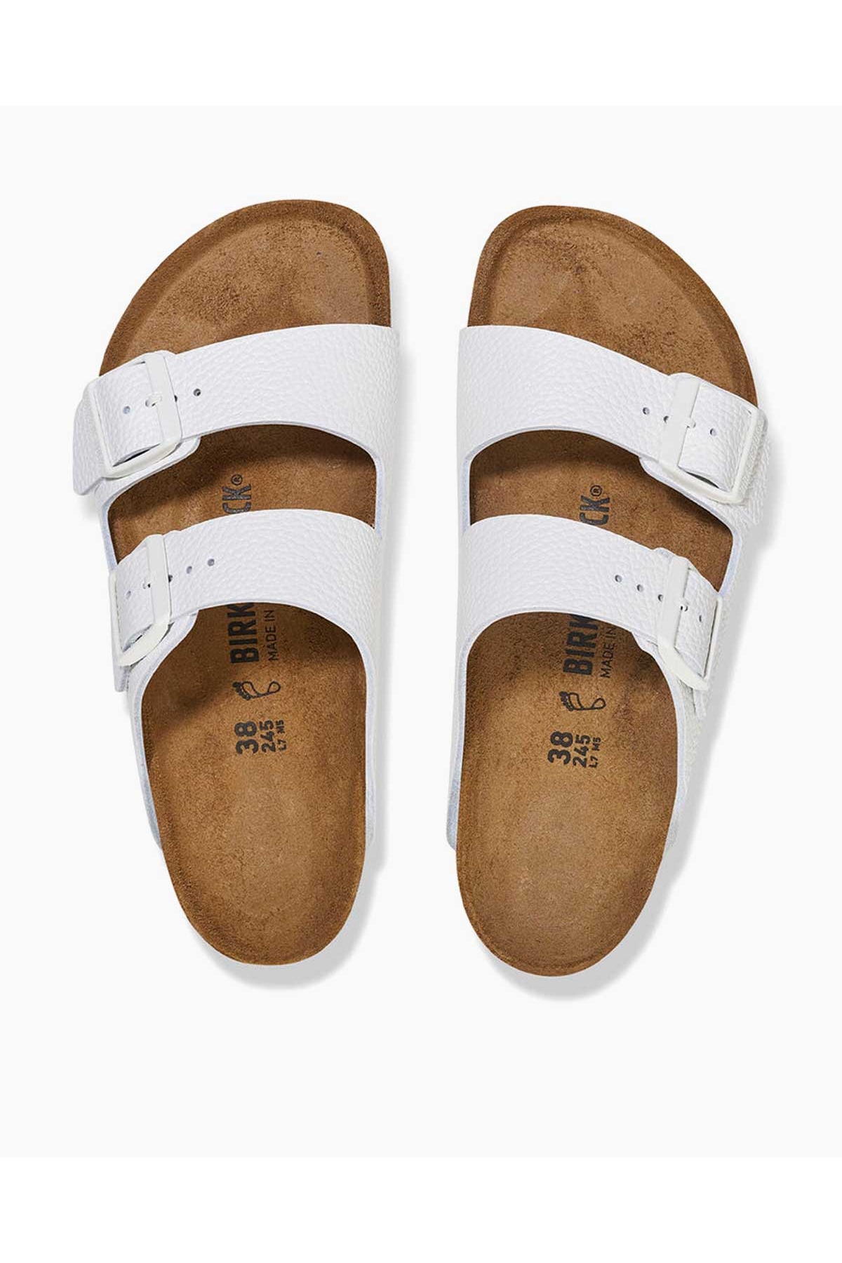 Arizona Terlik - Görsel 4