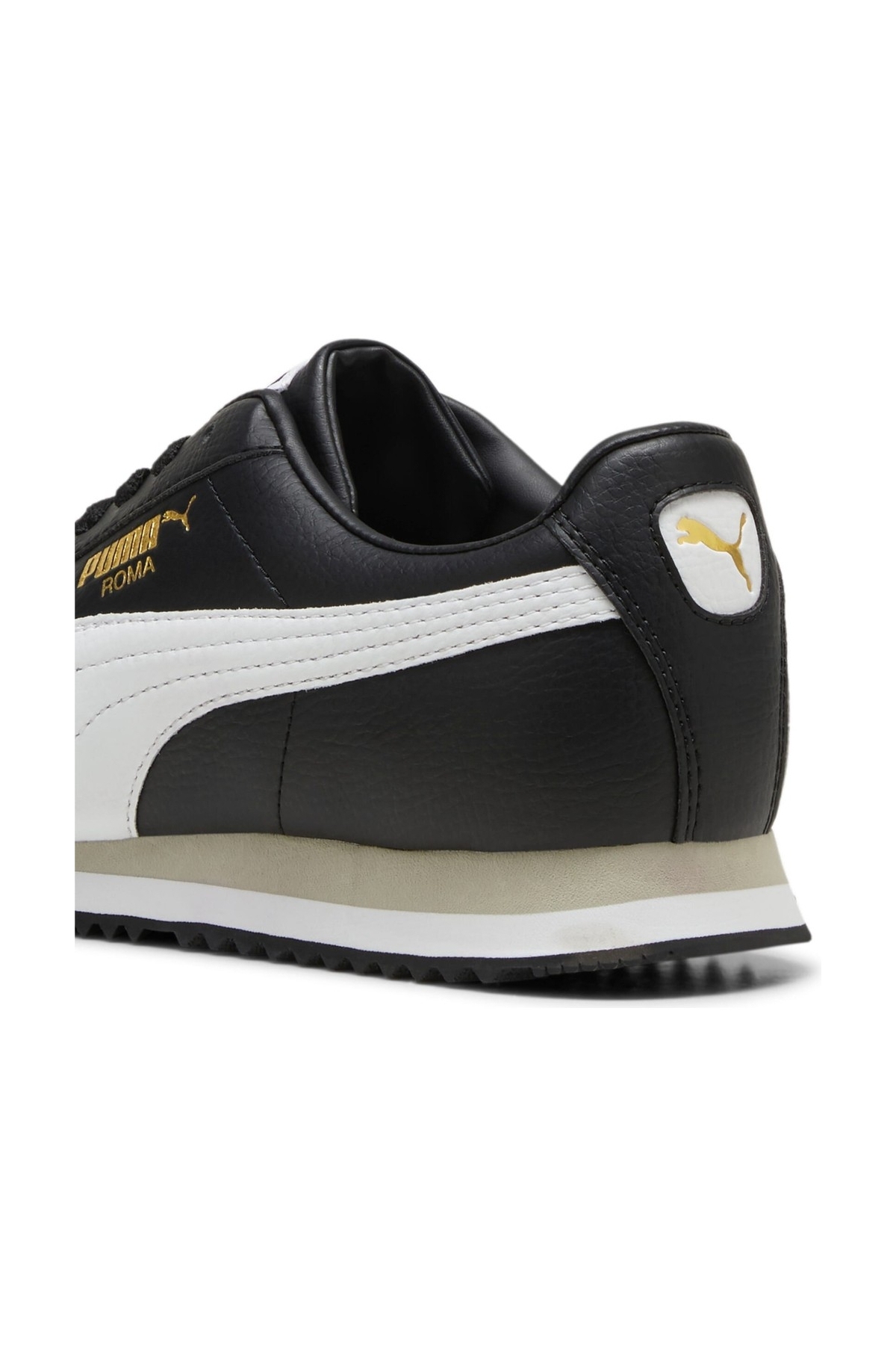 Roma 24 Standard - Görsel 4