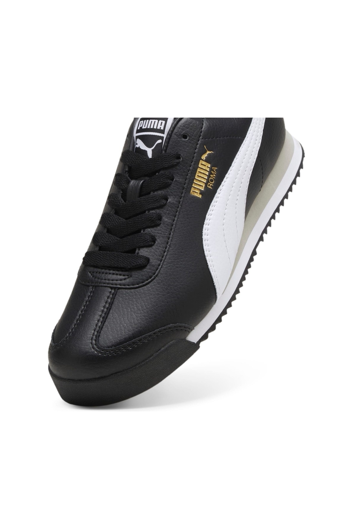 Roma 24 Standard - Görsel 5