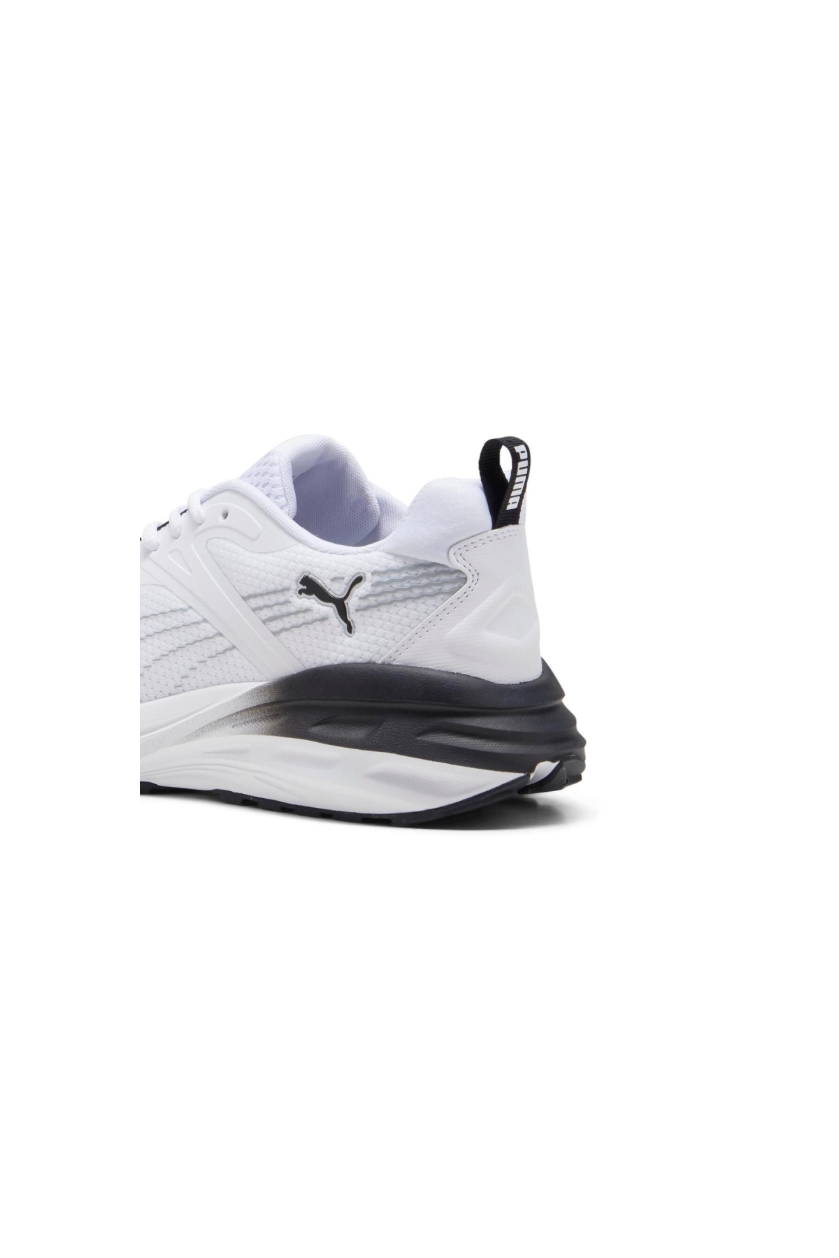 Hypnotic - Görsel 6