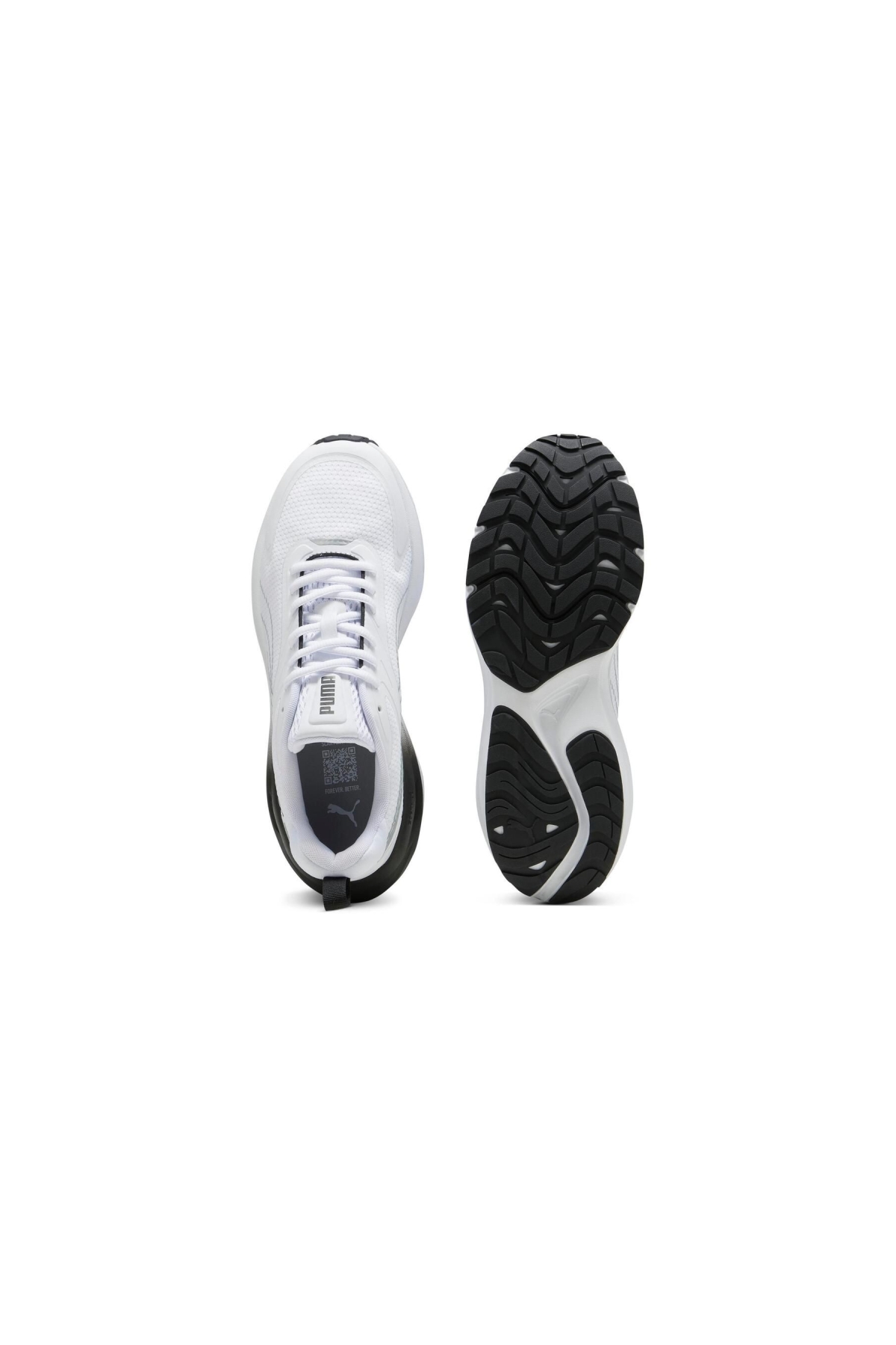 Hypnotic - Görsel 8