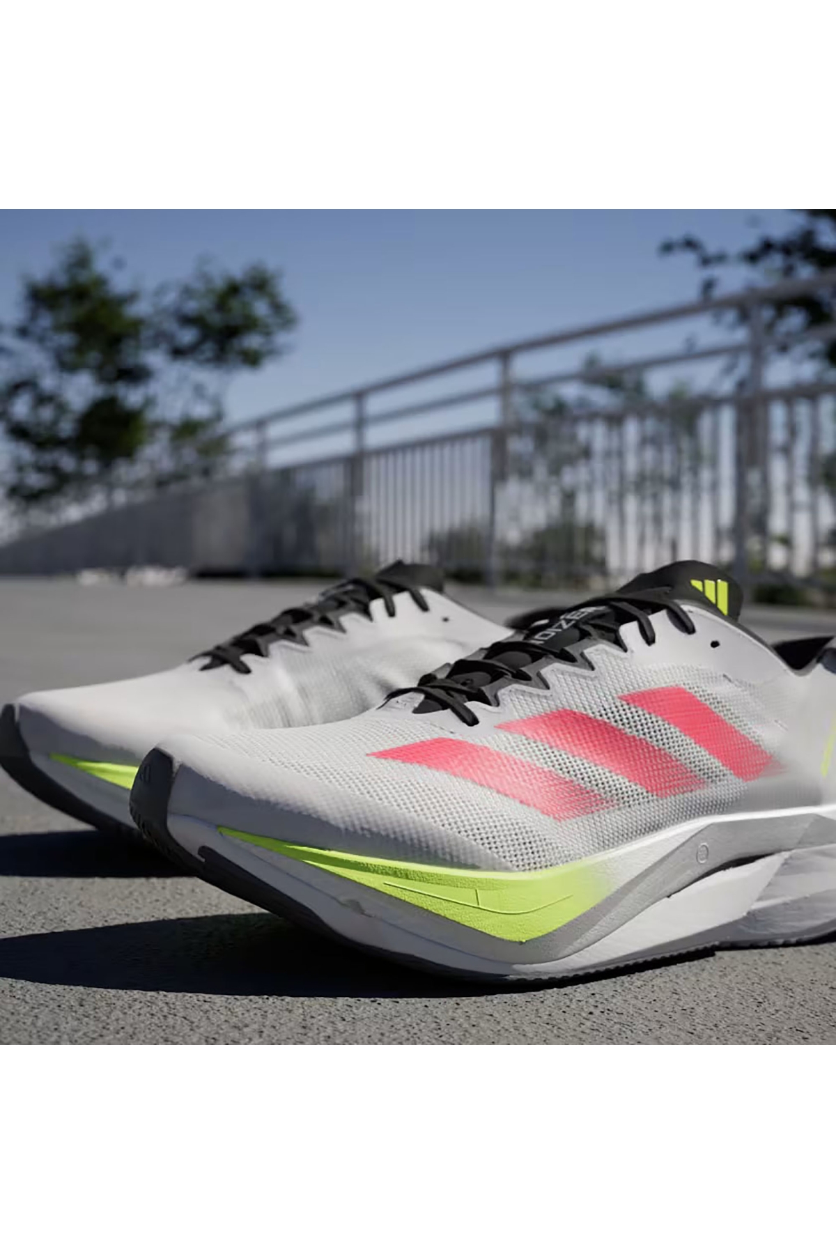 Erkek Koşu - Yürüyüş Ayakkabı Adizero Boston 12 M Jı4472 - Görsel 4