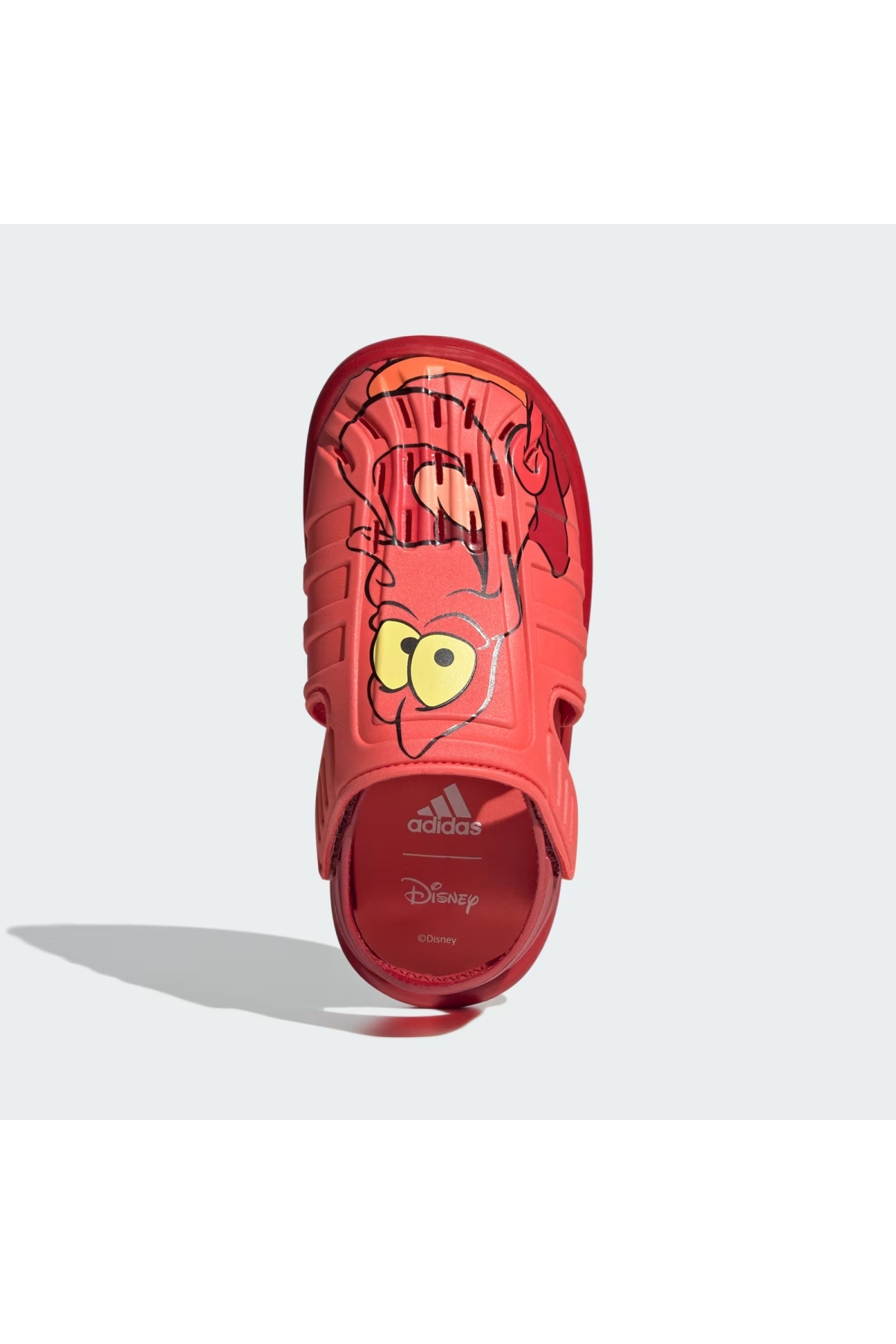 Water Sandal Sebastian C Unisex Çocuk Sandalet IH1232 - Görsel 3