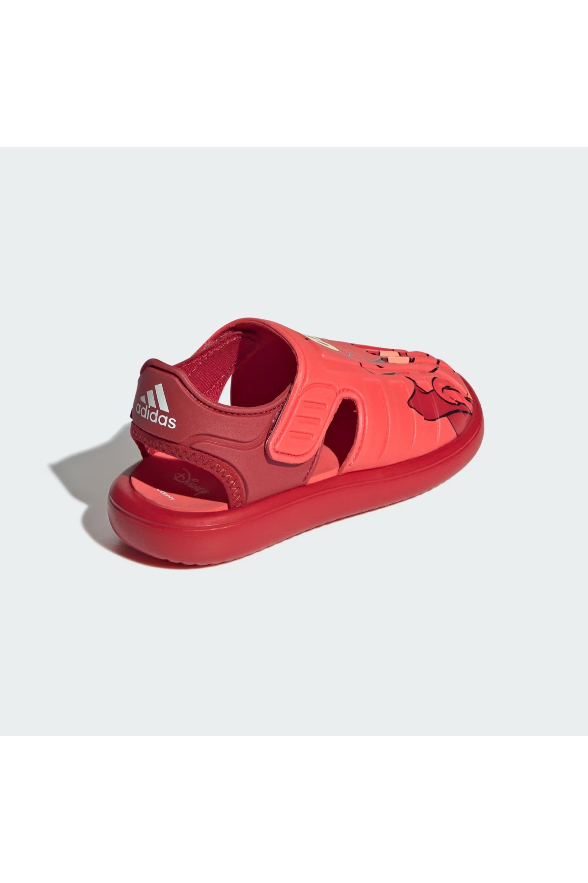 Water Sandal Sebastian C Unisex Çocuk Sandalet IH1232 - Görsel 5