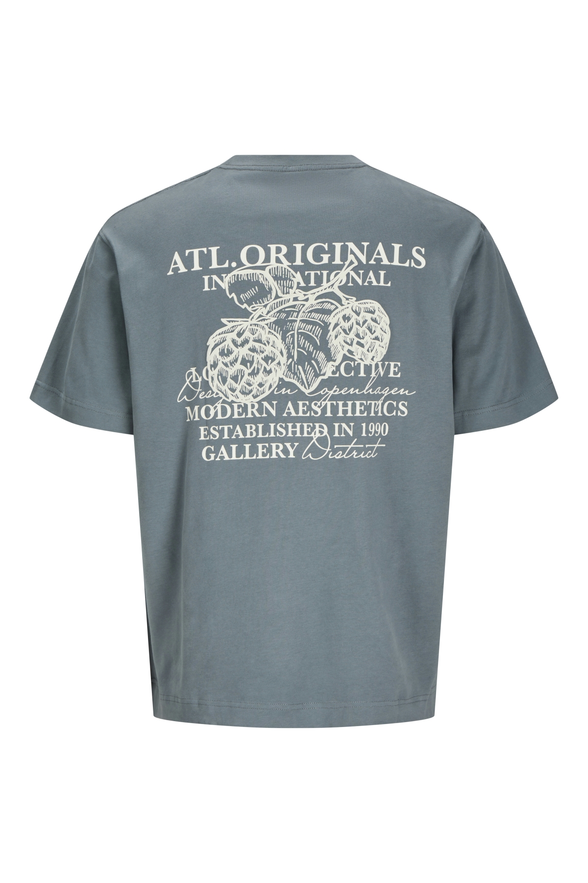 Jack Jones Jorıslıngton Type Graphıc Back Tee Ss Cn Erkek Antrasit