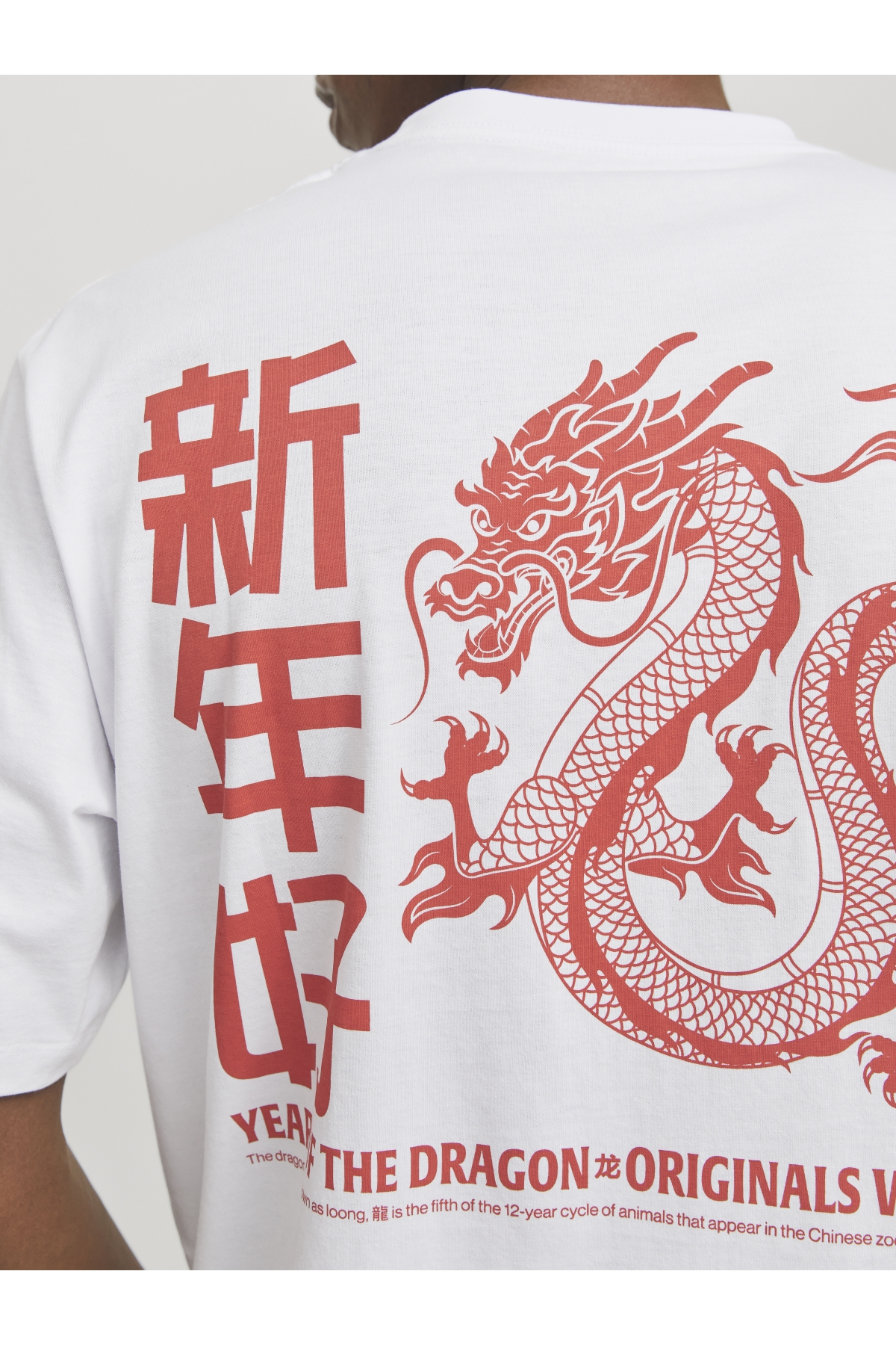 Jack Jones Jorsnake Tee Ss Crew Neck Tg Ln Erkek Beyaz/dragon