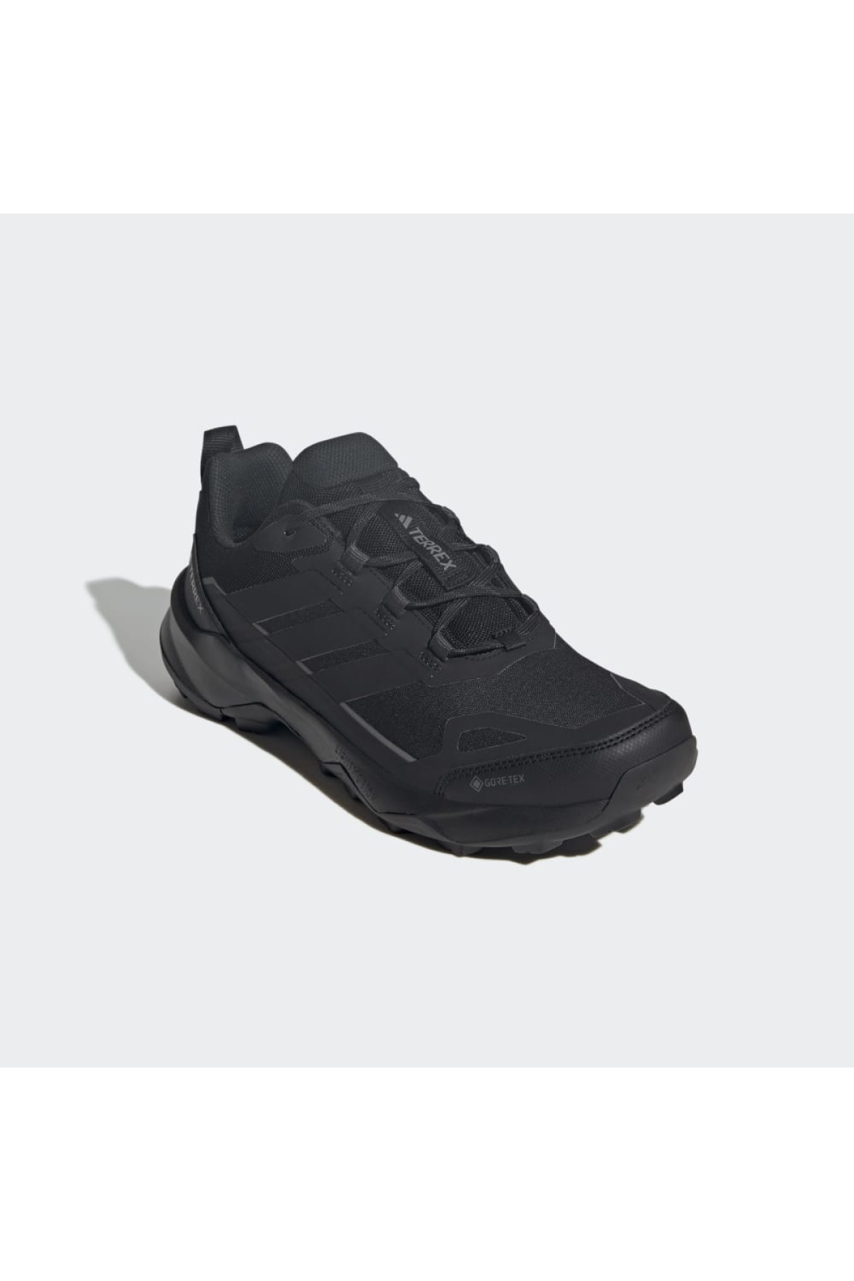 Adidas Siyah Adidas Terrex Skychaser AX5