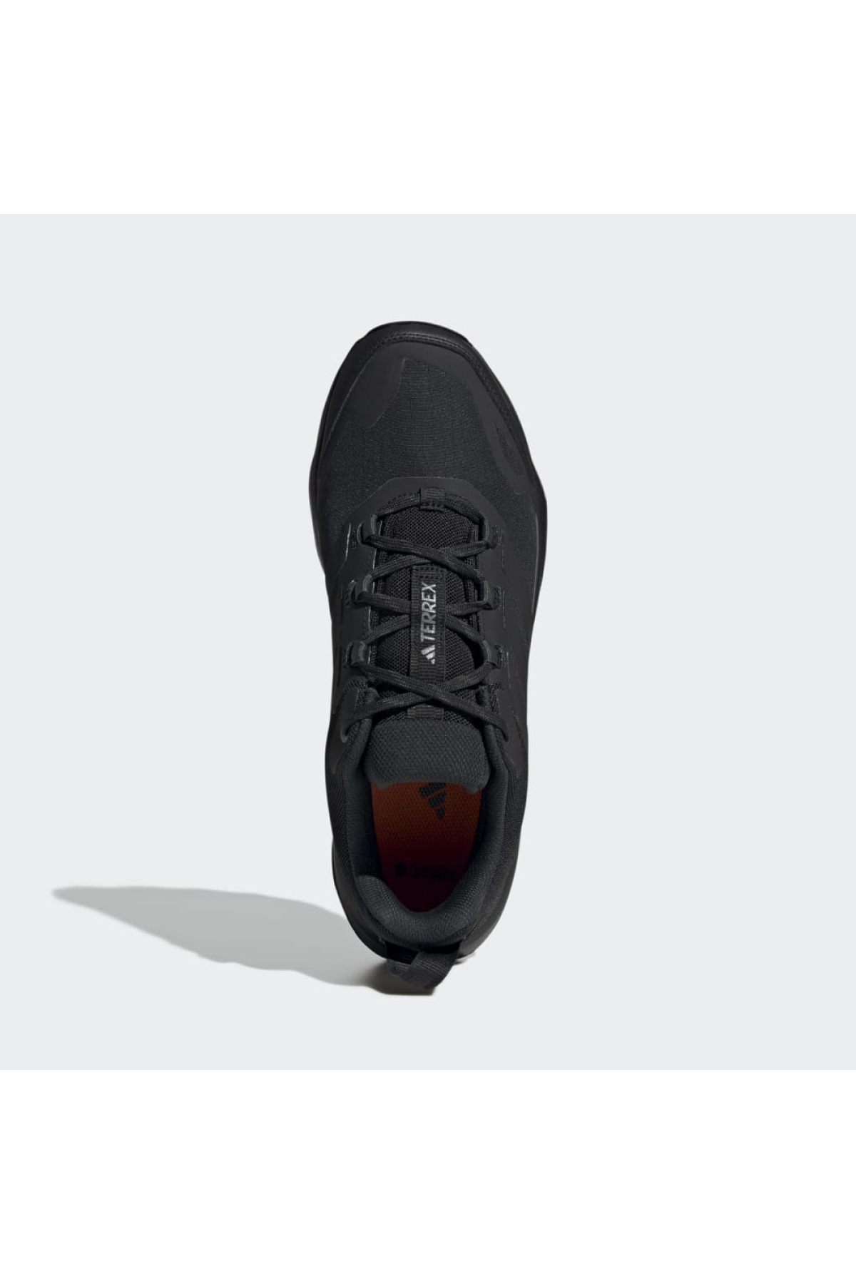 Adidas Siyah Adidas Terrex Skychaser AX5