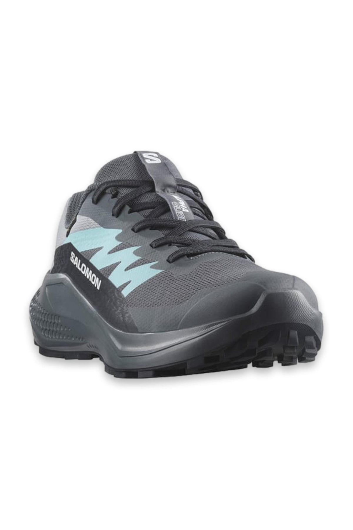 Salomon Alphaglide Gtx Patika Koşusu Gri