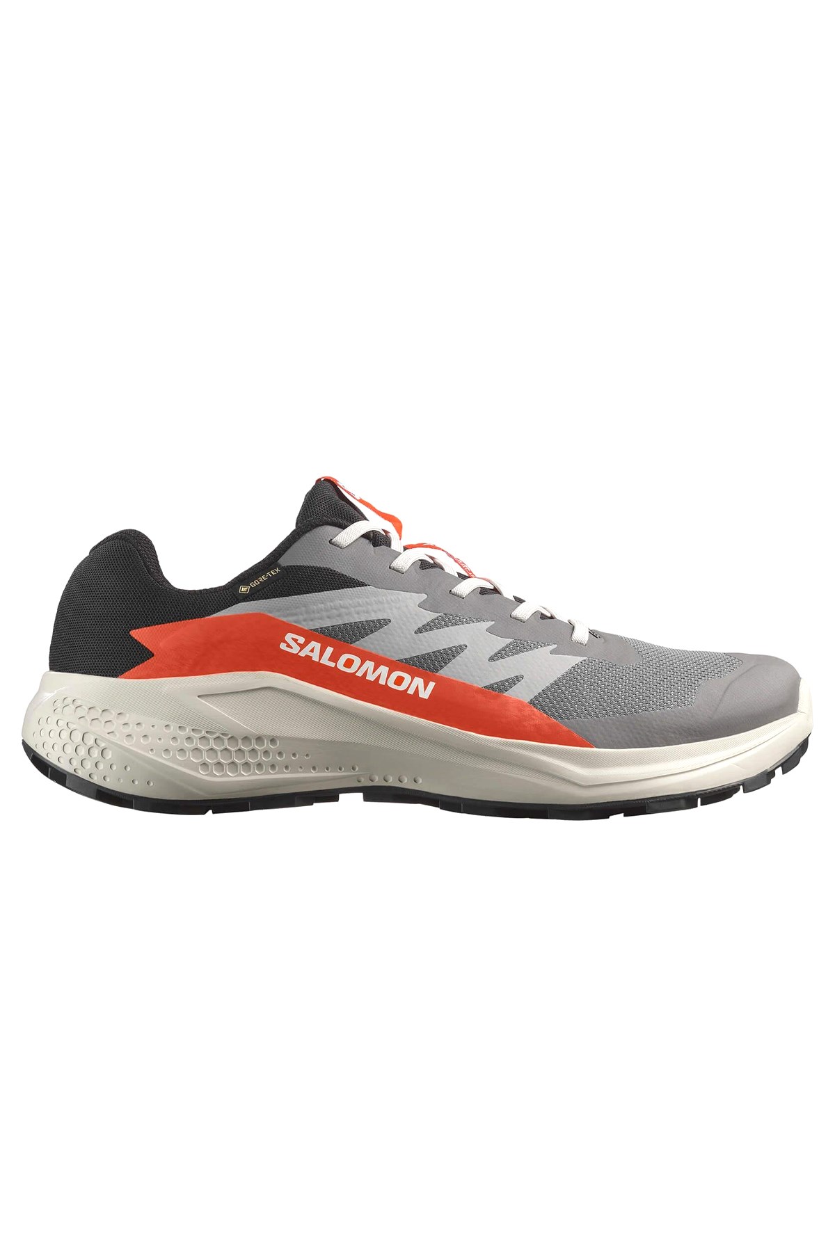 Salomon Gri Salomon Alphaglide Gore Gore-tex