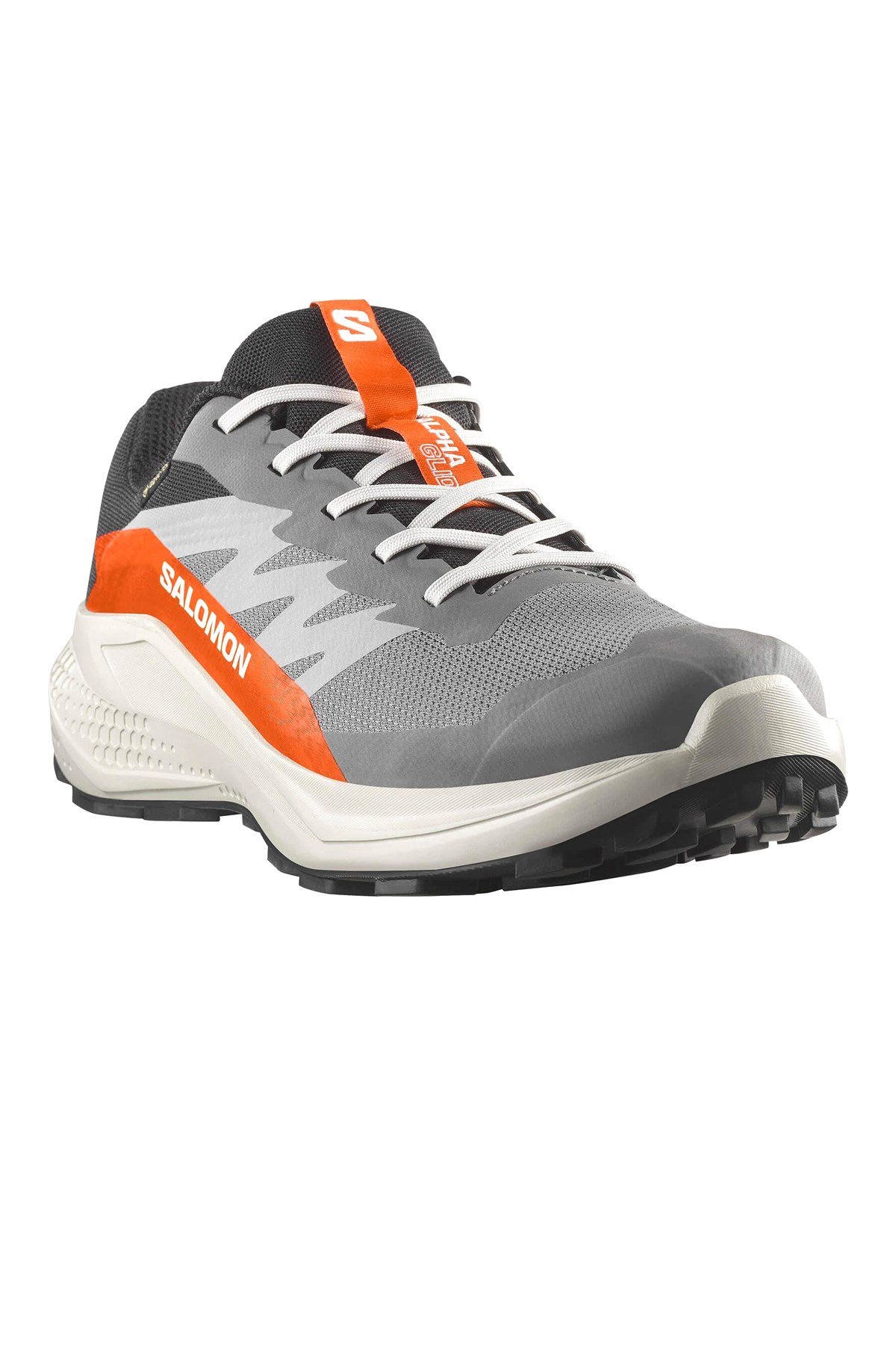 Salomon Gri Salomon Alphaglide Gore Gore-tex