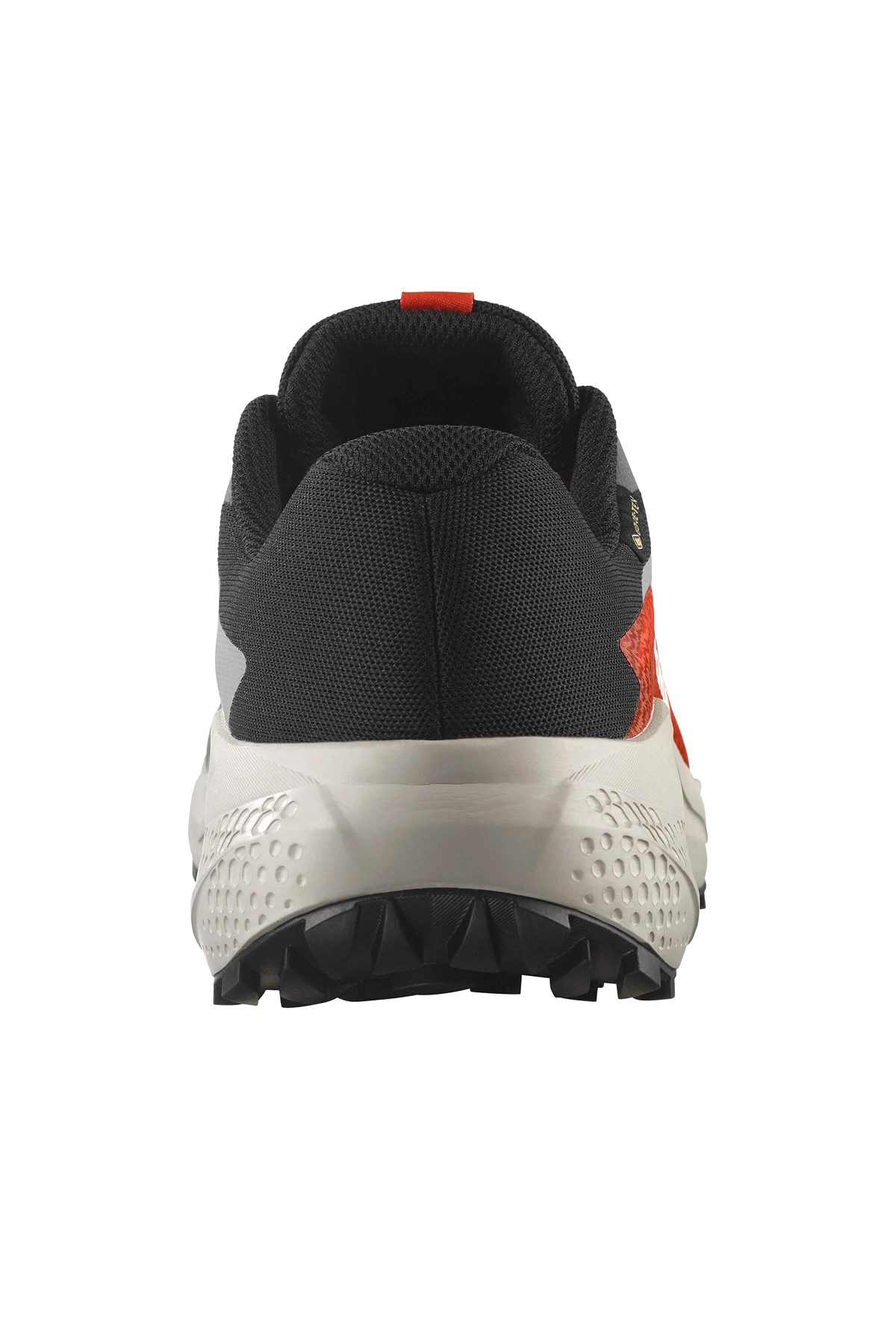 Salomon Gri Salomon Alphaglide Gore Gore-tex