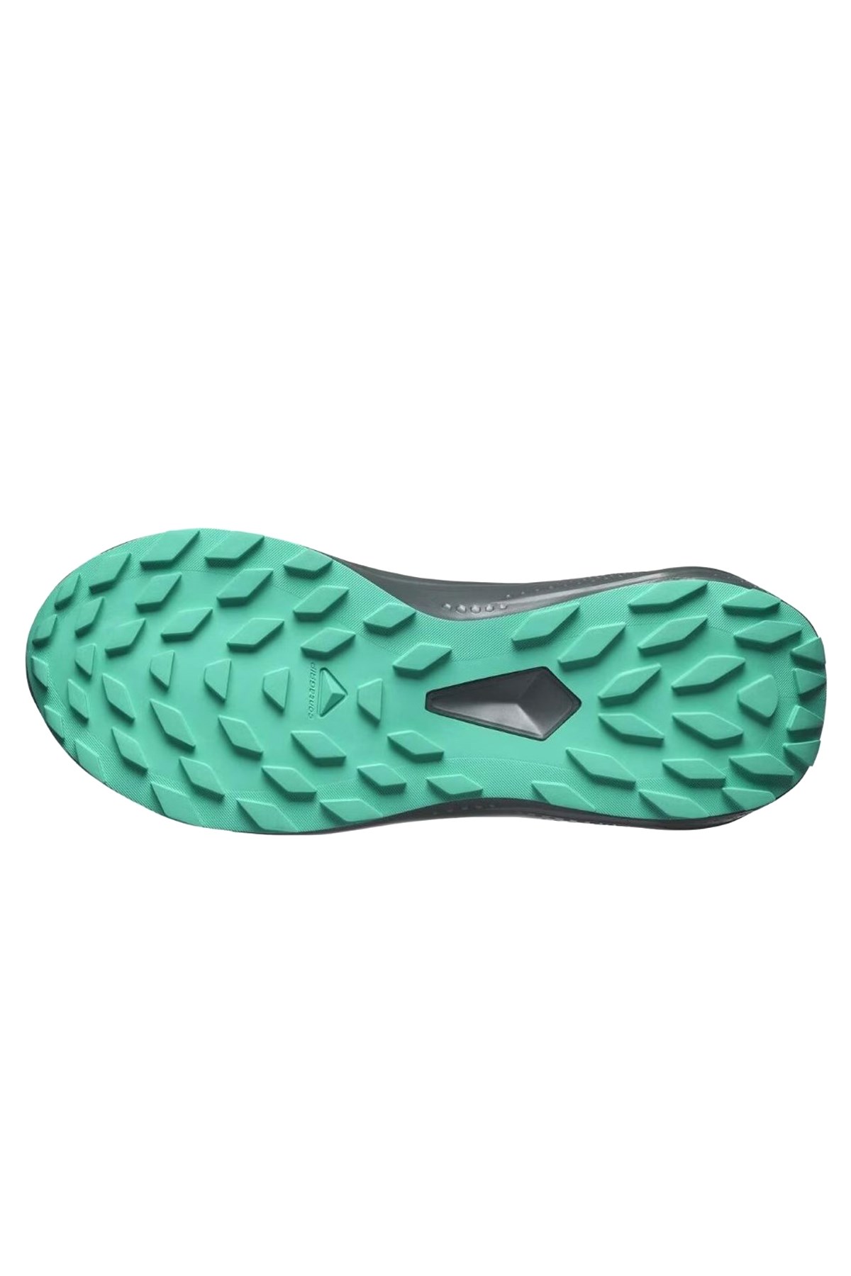 Salomon Gri Salomon Alphaglide Gore Gore-Tex Kadın Patika Koşusu Ayakkabısı