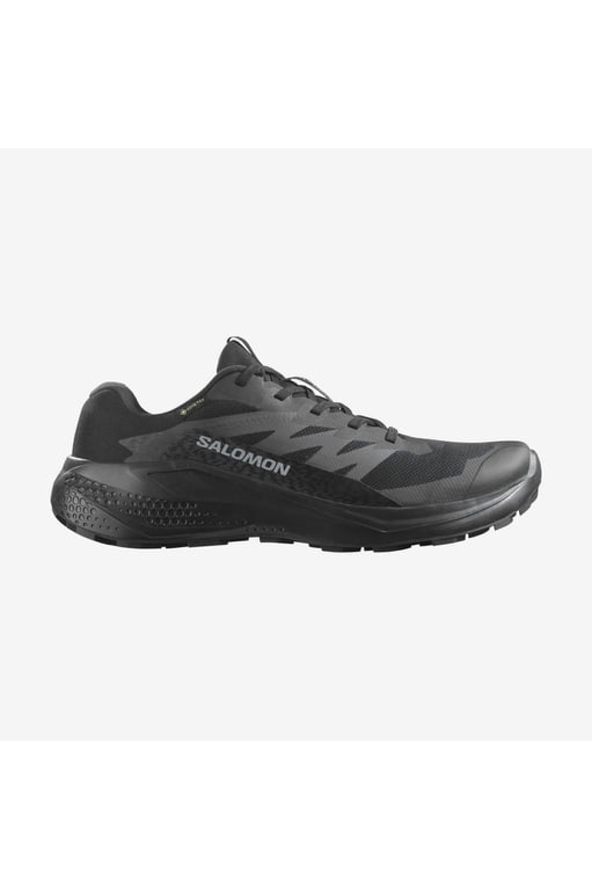 Alphaglıde Gore-tex Erkek Siyah Spor Ayakkabı L47802100-5379 - Görsel 2