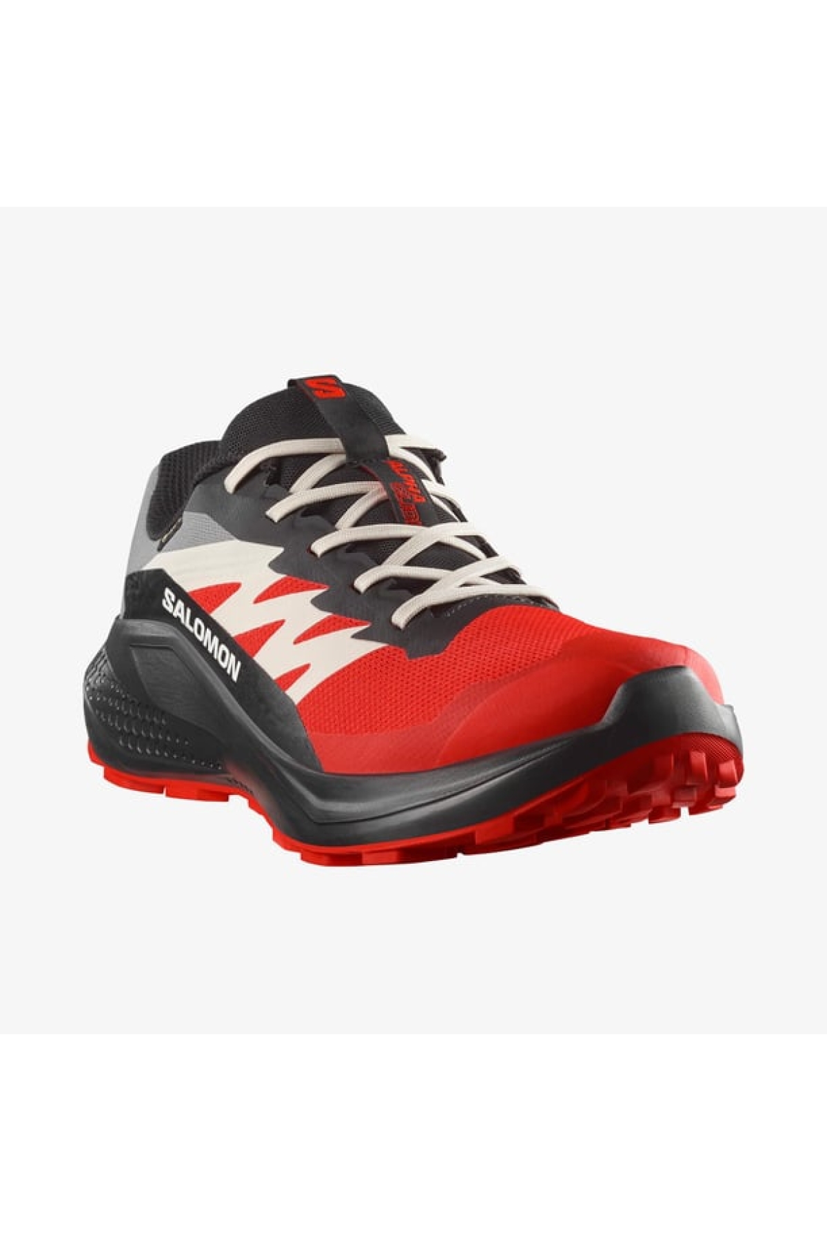 Alphaglide Gore-Tex Erkek Koşu Ayakkabısı L47975200 - Görsel 5