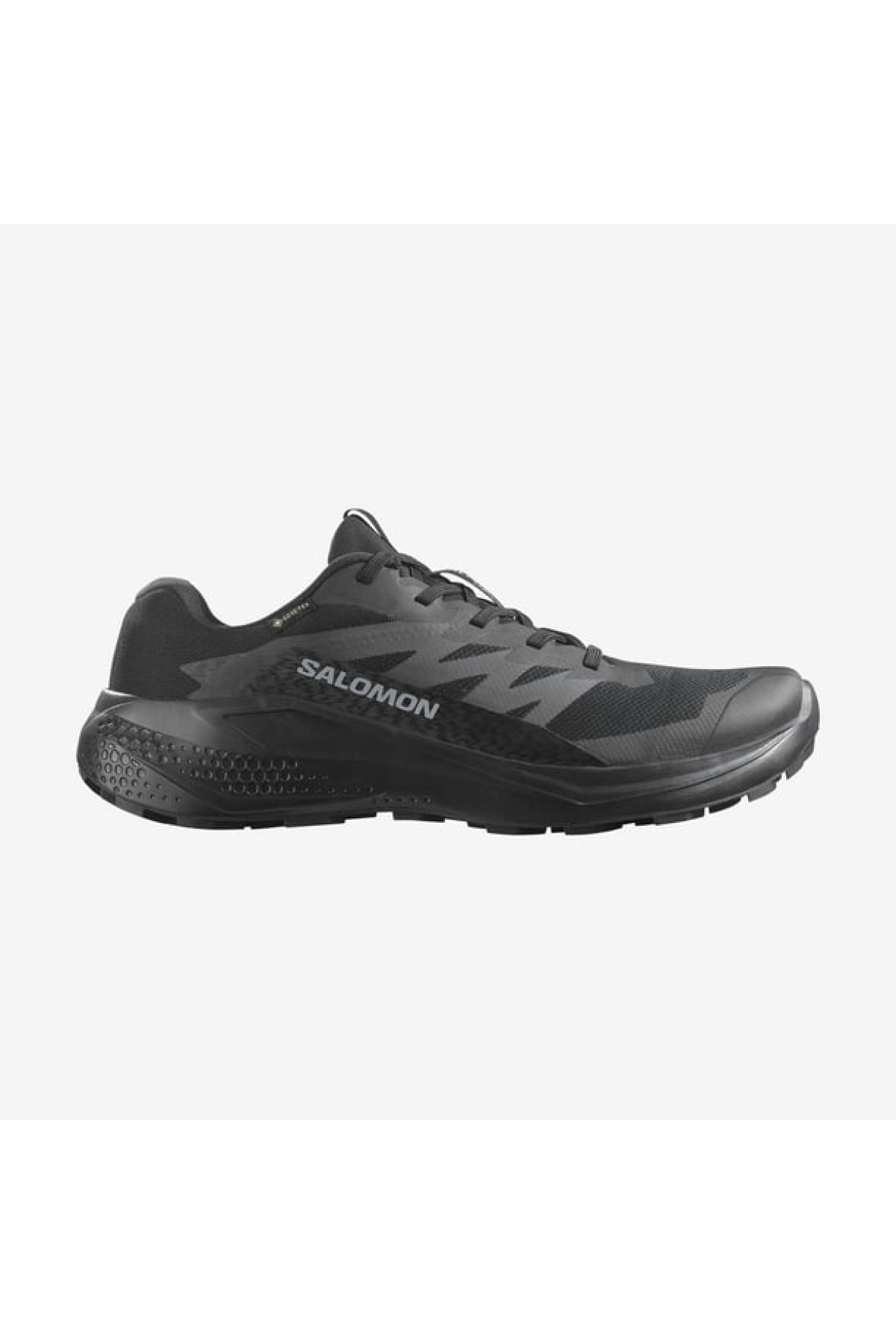 Alphaglide Gore-Tex Erkek Patika Koşu Ayakkabısı L47802100 - Görsel 2