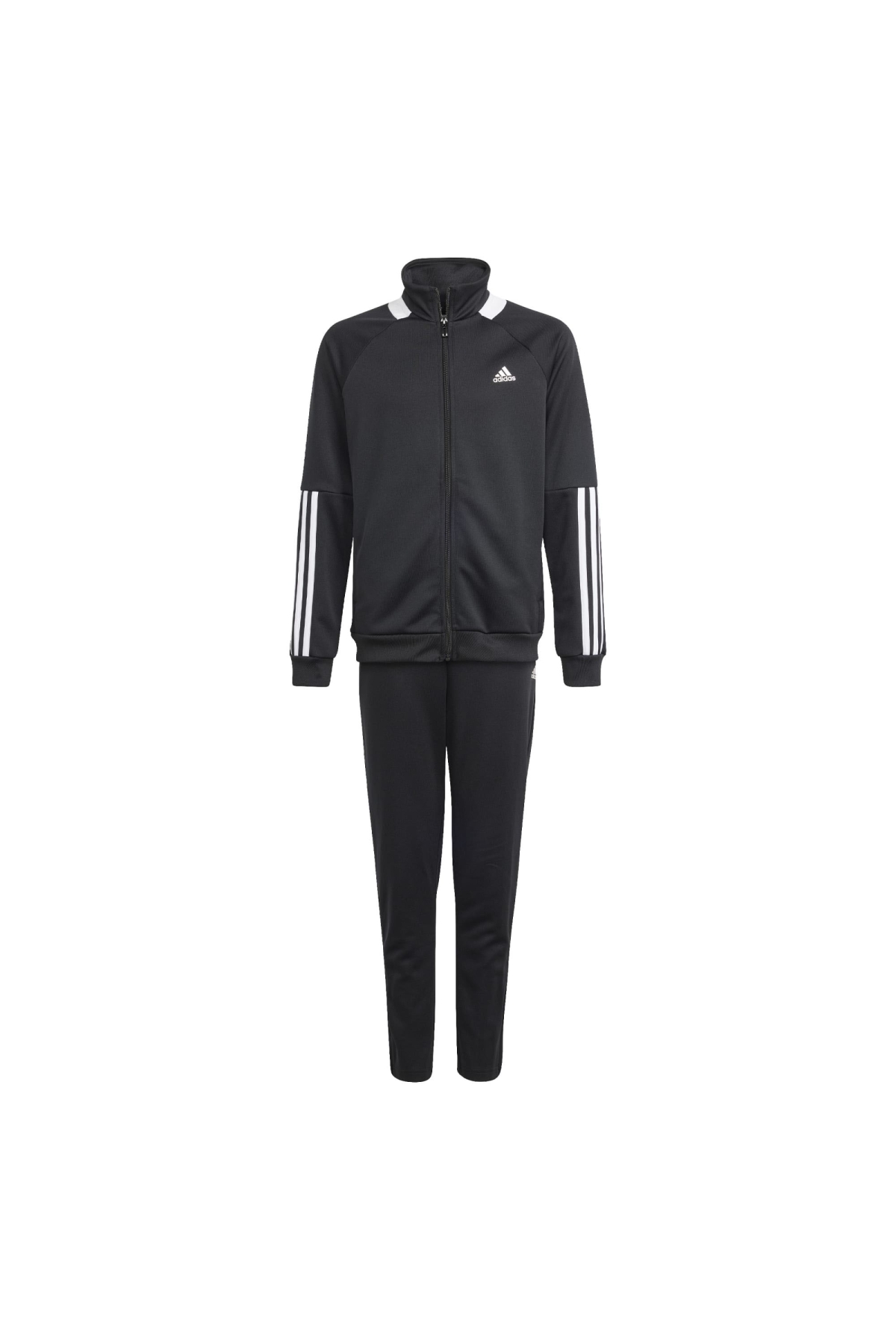 とも 201601659-1.jpg