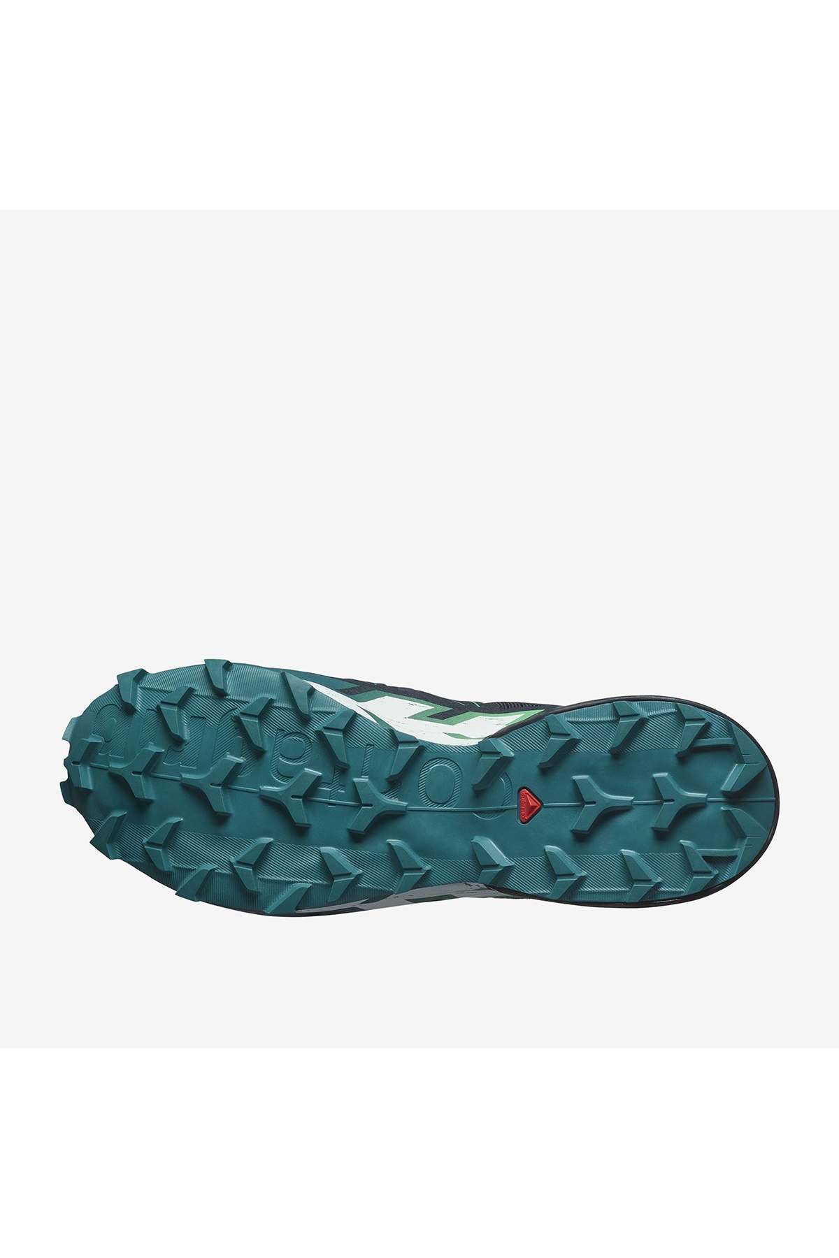 Salomon Siyah Salomon Speedcross 6 Erkek